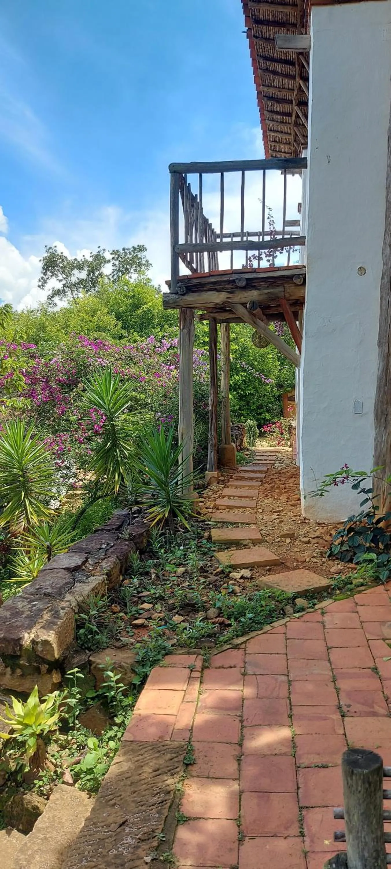 Garden in Hotel Spa El Cogollo By MH