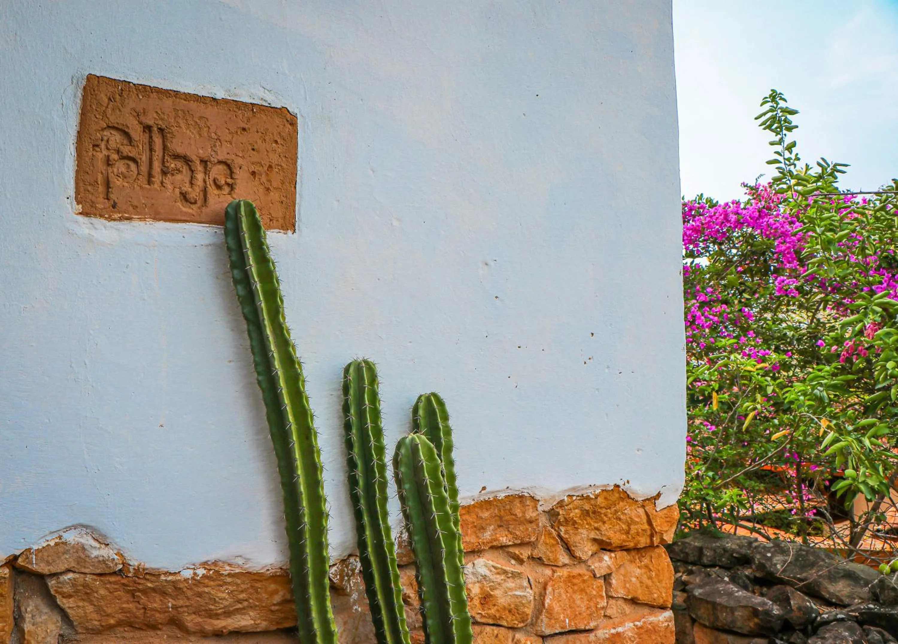 Decorative detail in Hotel Spa El Cogollo By MH