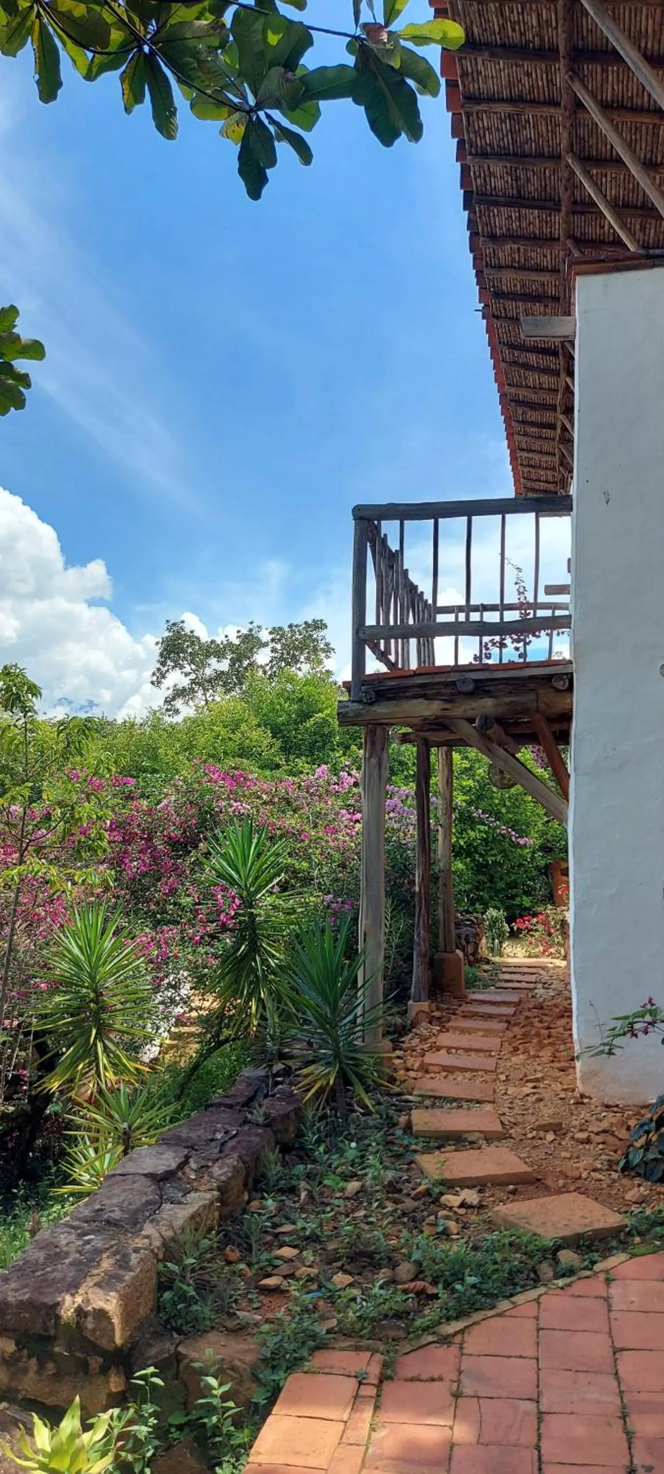 Garden in Hotel Spa El Cogollo By MH