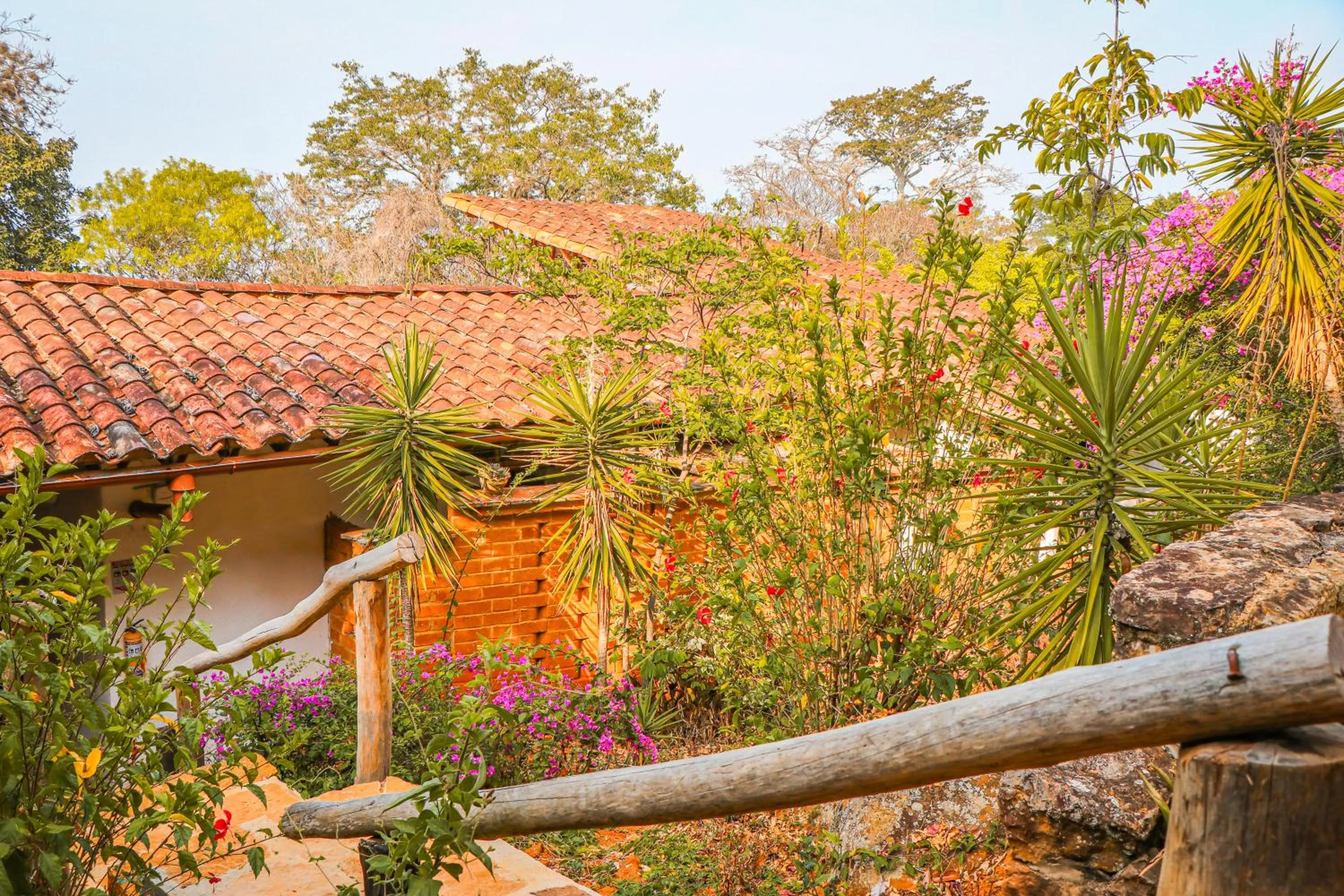 Garden in Hotel Spa El Cogollo By MH