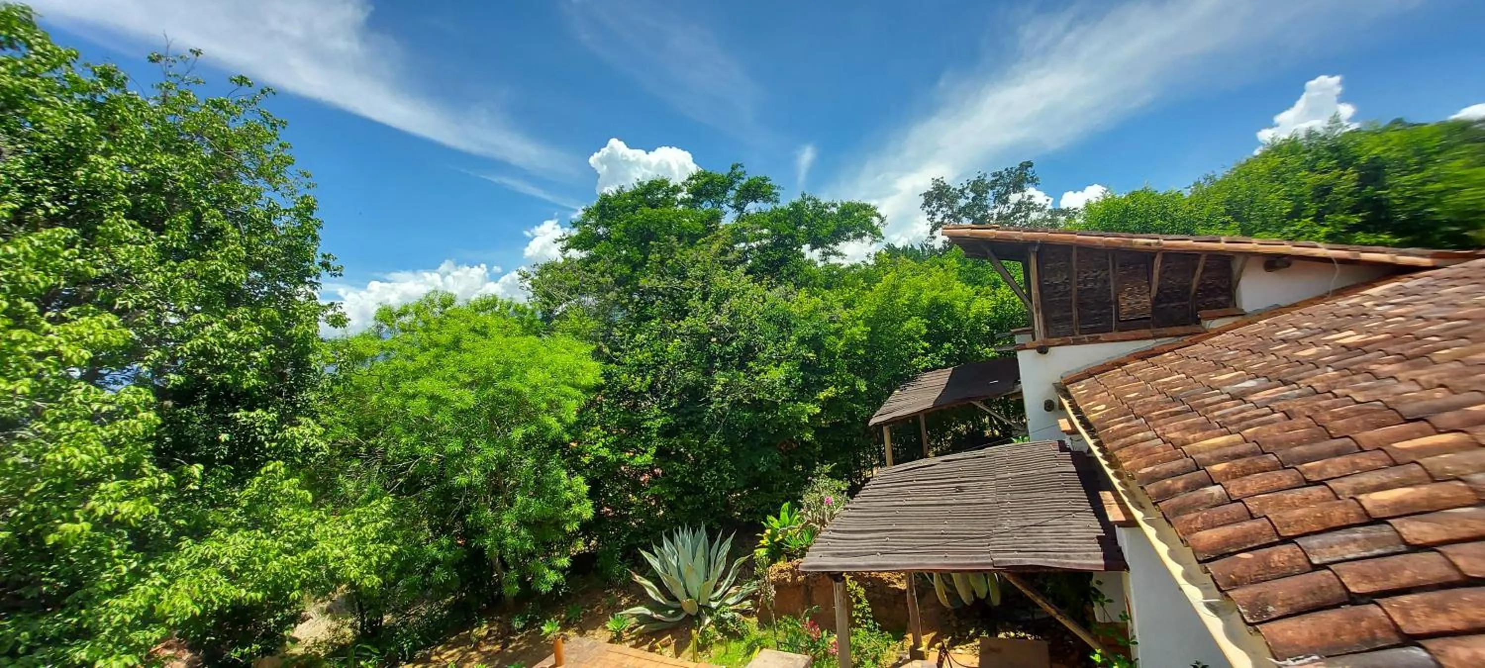 Garden view in Hotel Spa El Cogollo By MH