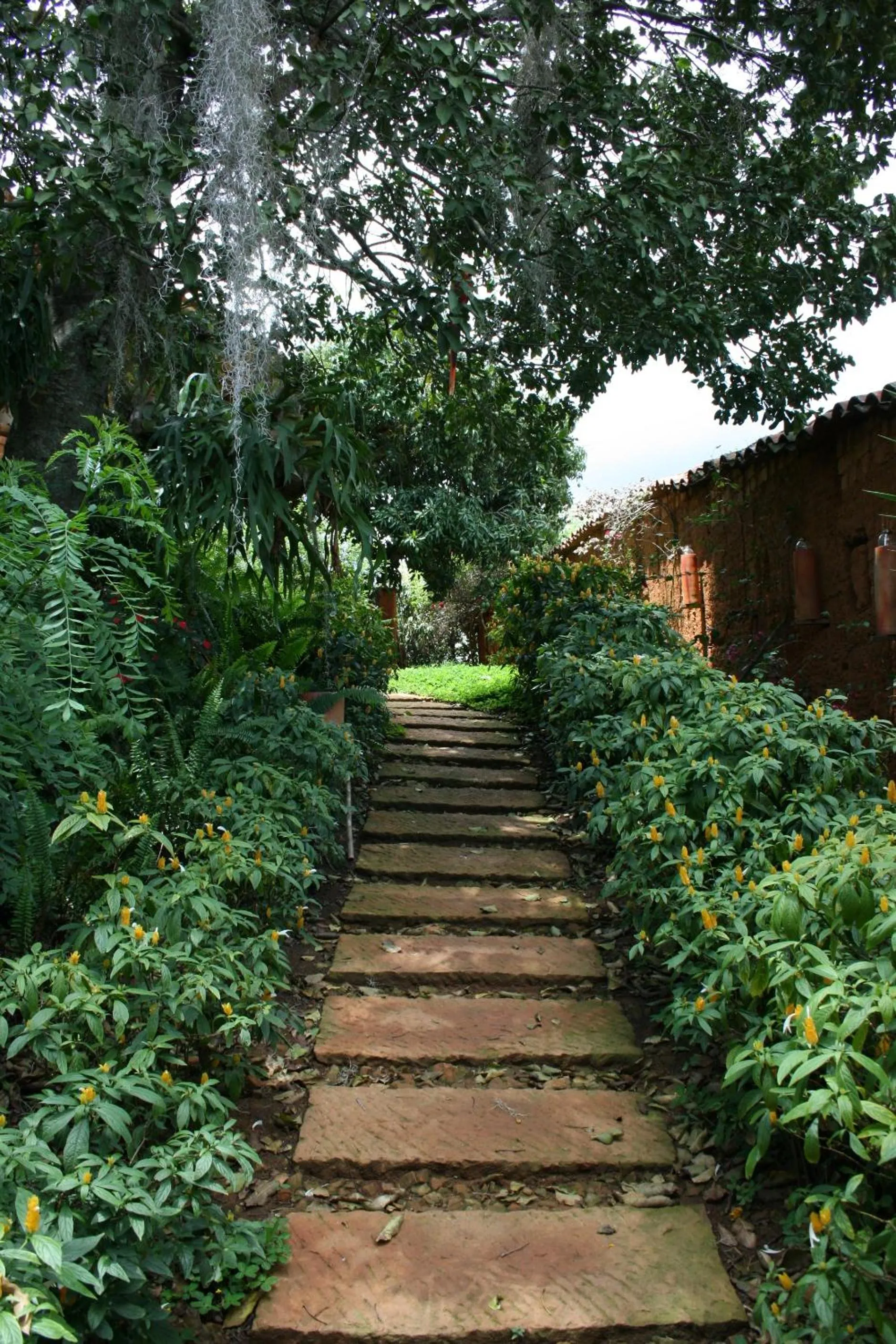 Natural landscape in Hotel Spa El Cogollo By MH