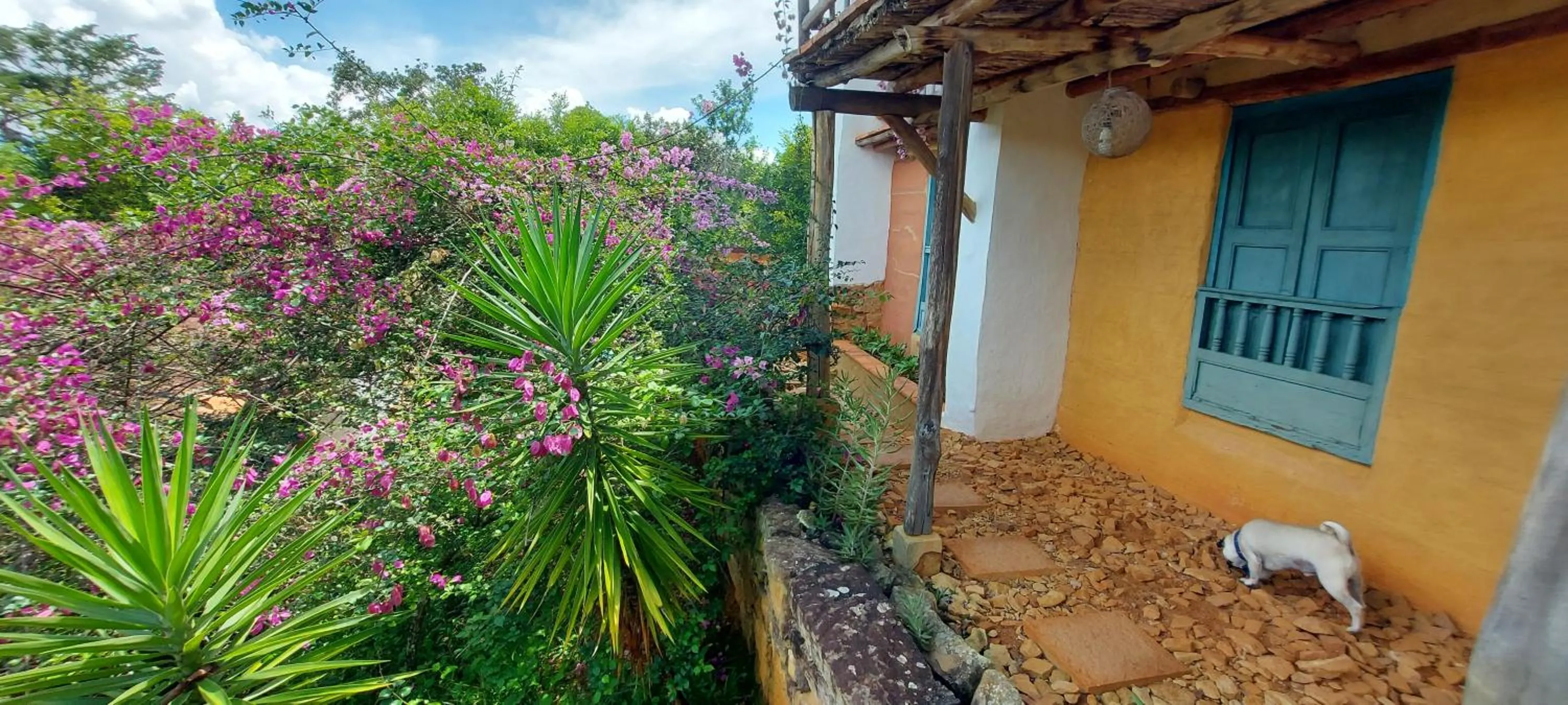 Garden in Hotel Spa El Cogollo By MH