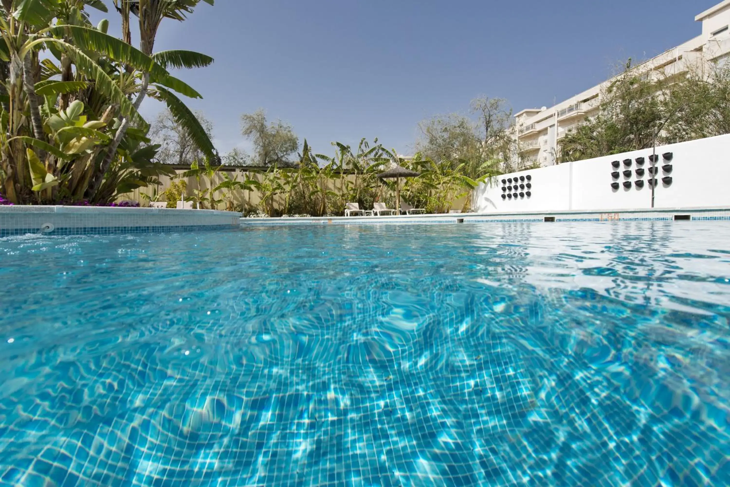 Swimming pool in Elba Motril Beach & Business Hotel Swimming pool in Elba Motril Beach & Business Hotel