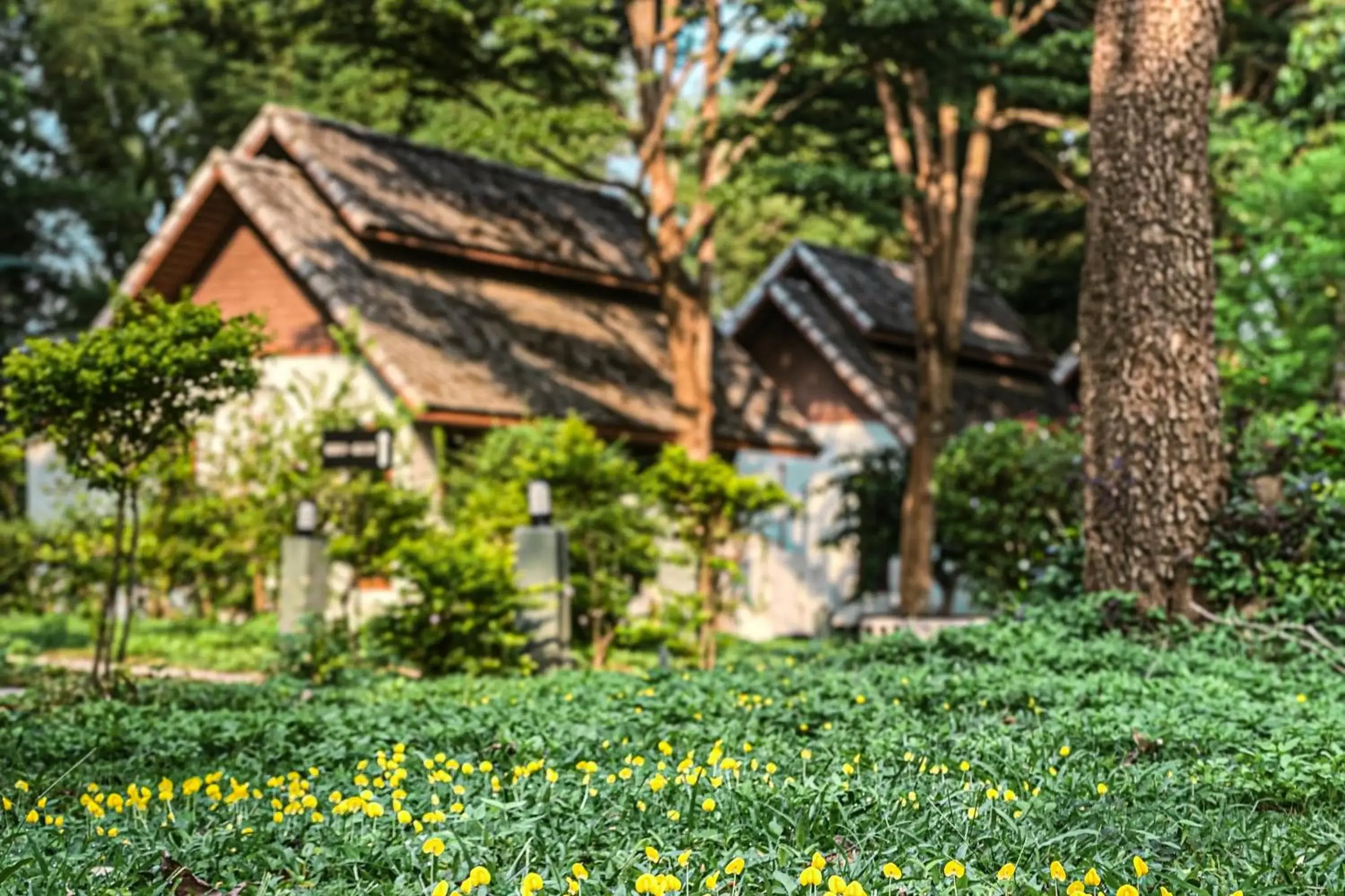 Property building in Re Connect Pai - Keys Resort Property building in Re Connect Pai - Keys Resort