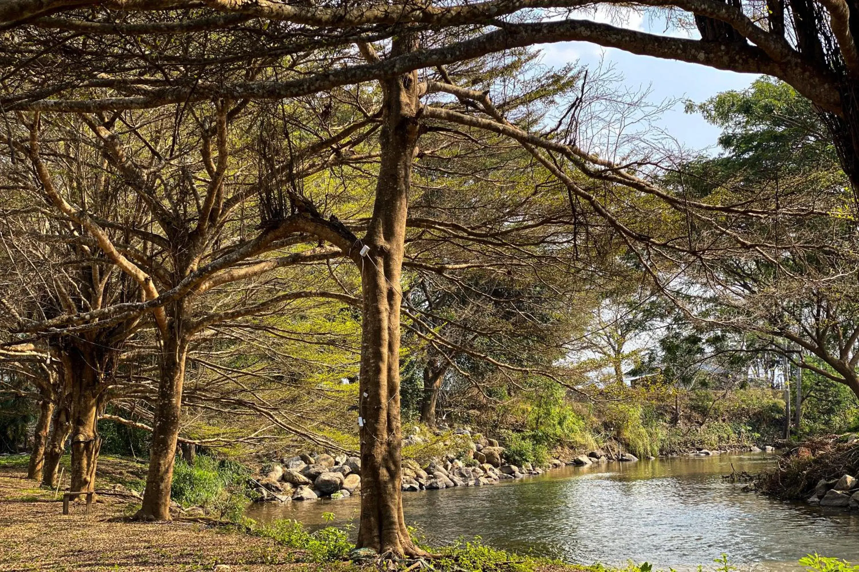 River view in Re Connect Pai - Keys Resort River view in Re Connect Pai - Keys Resort