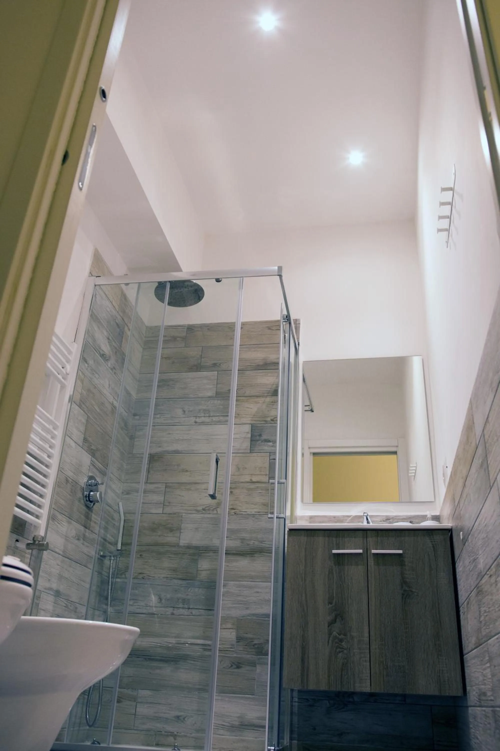 Shower in De Guestibus