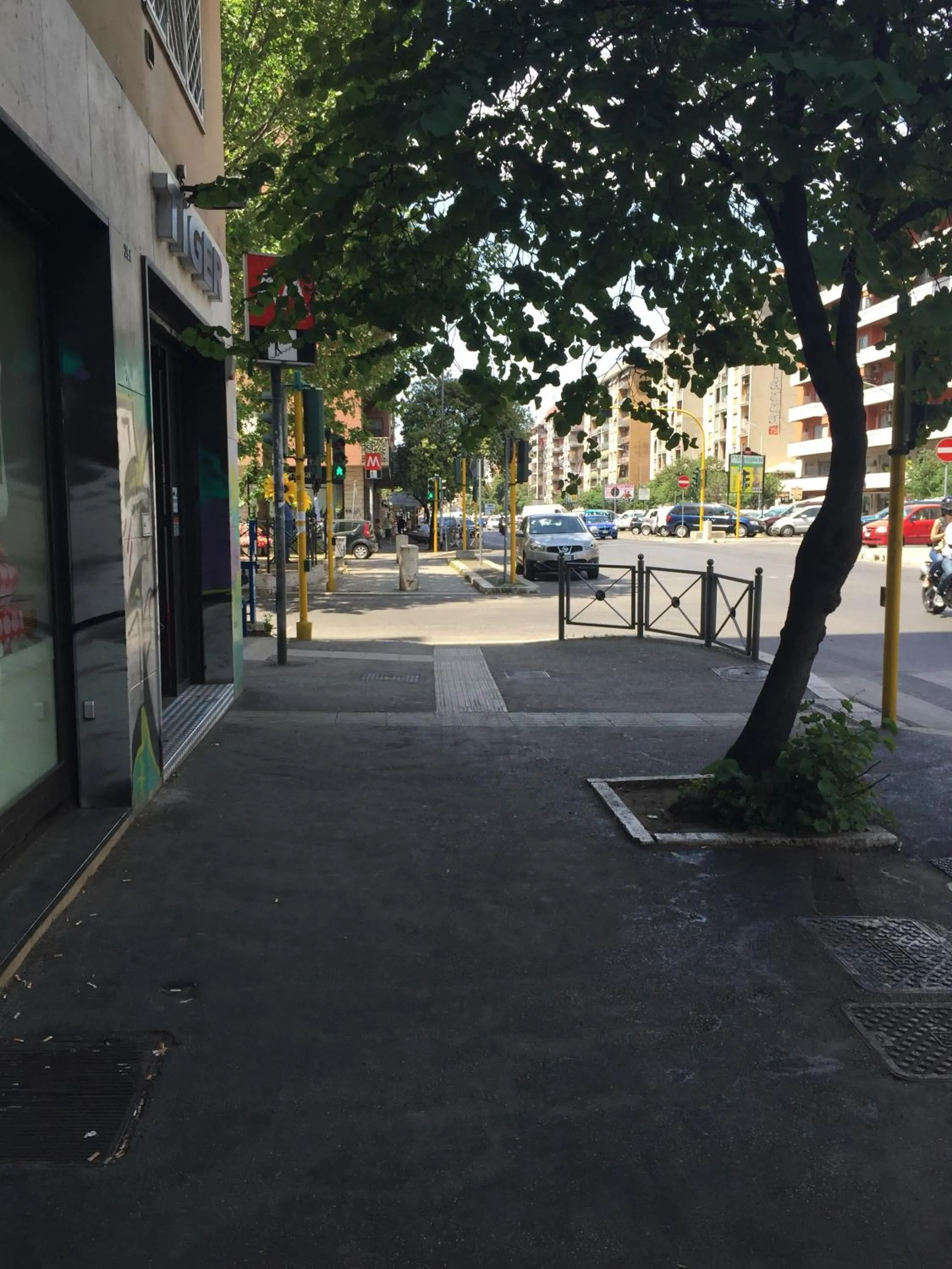 City view in De Guestibus