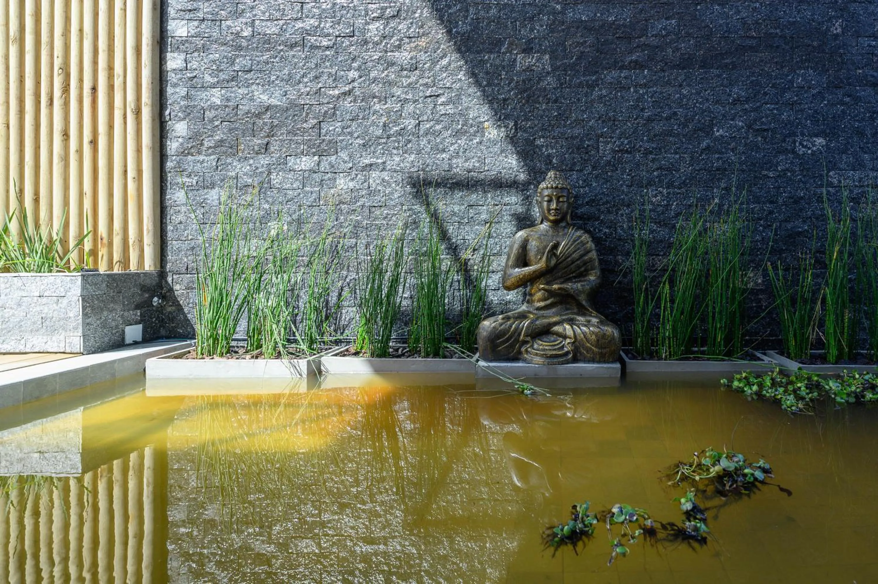 Garden in Ambar Hotel