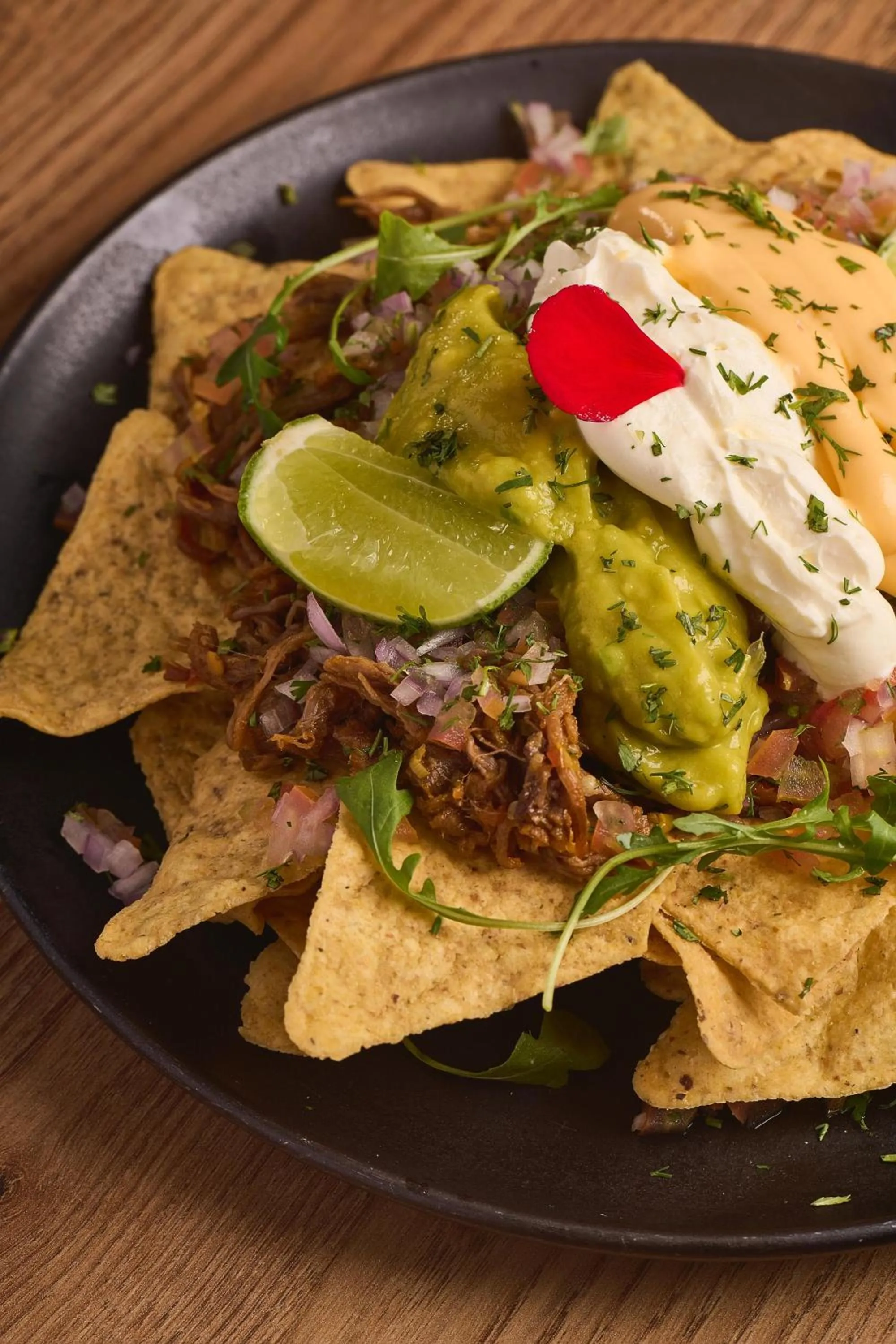 Communal kitchen in Hotel Elite