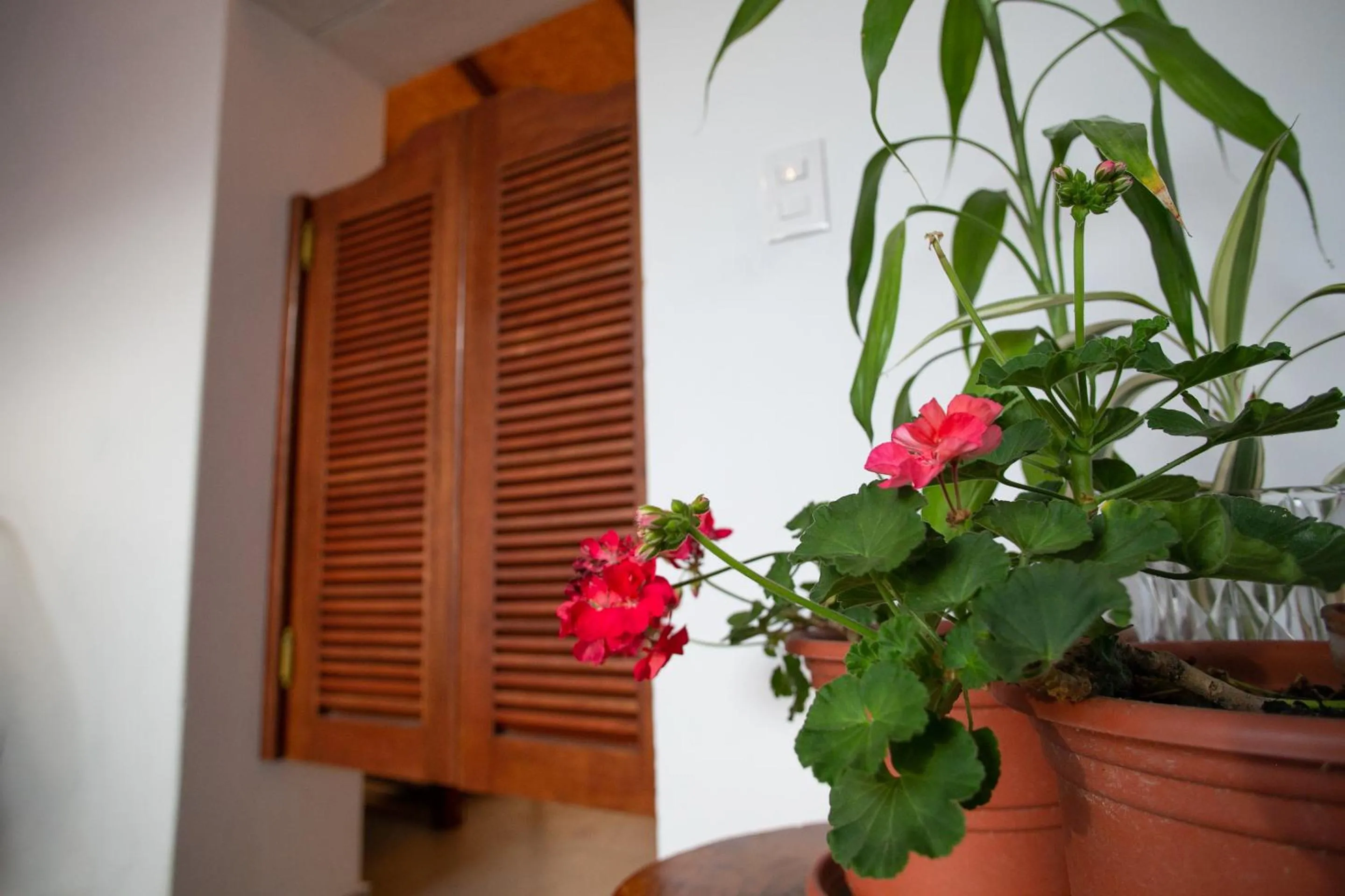 Decorative detail in Muyuterra