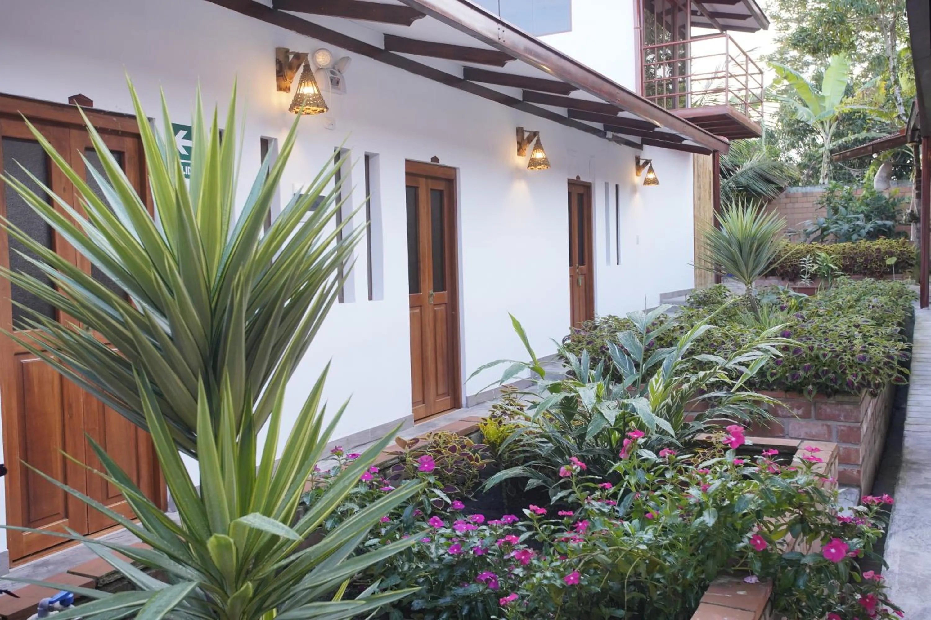 Garden in Muyuterra
