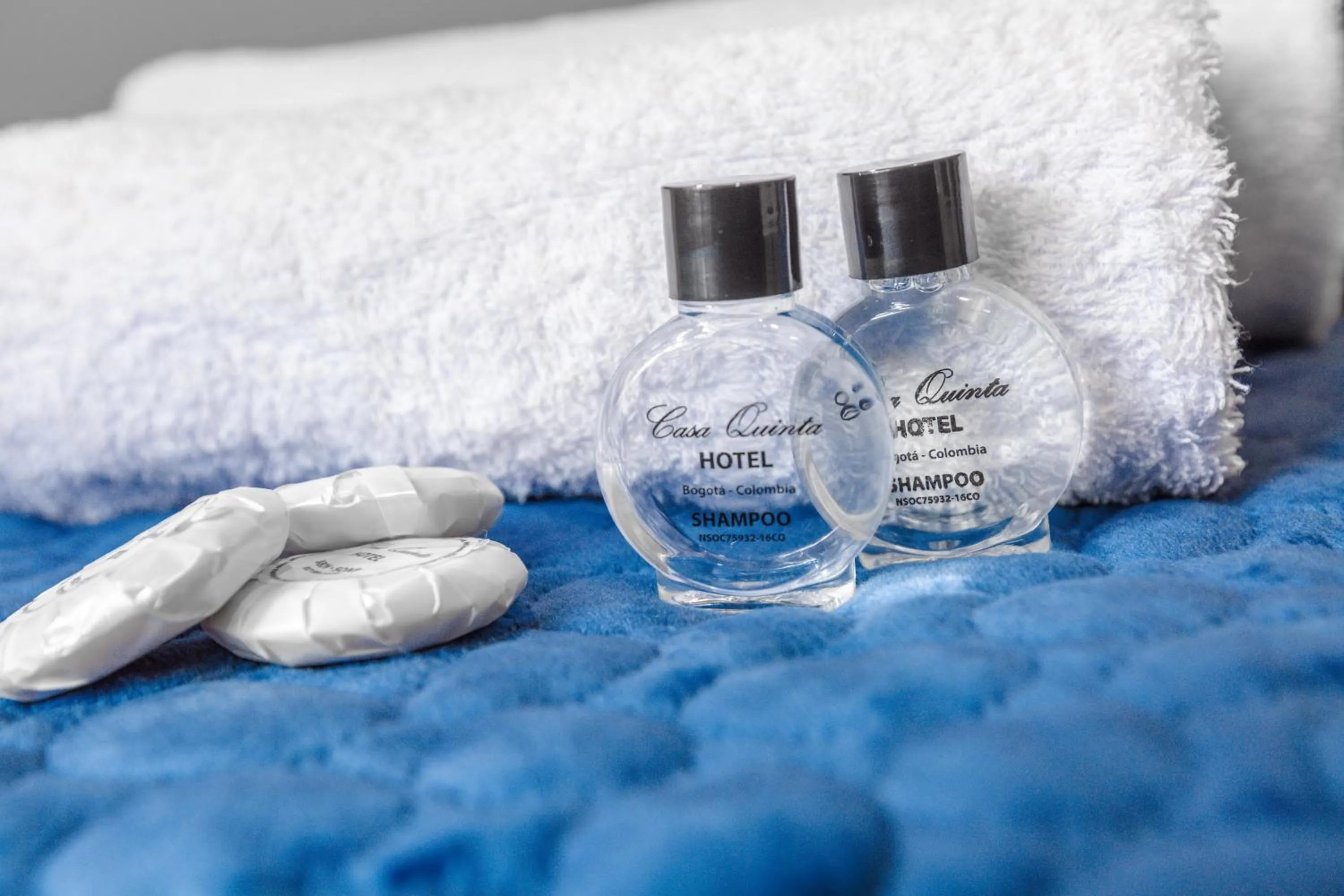 Decorative detail in Hotel Casa Quinta Embajada