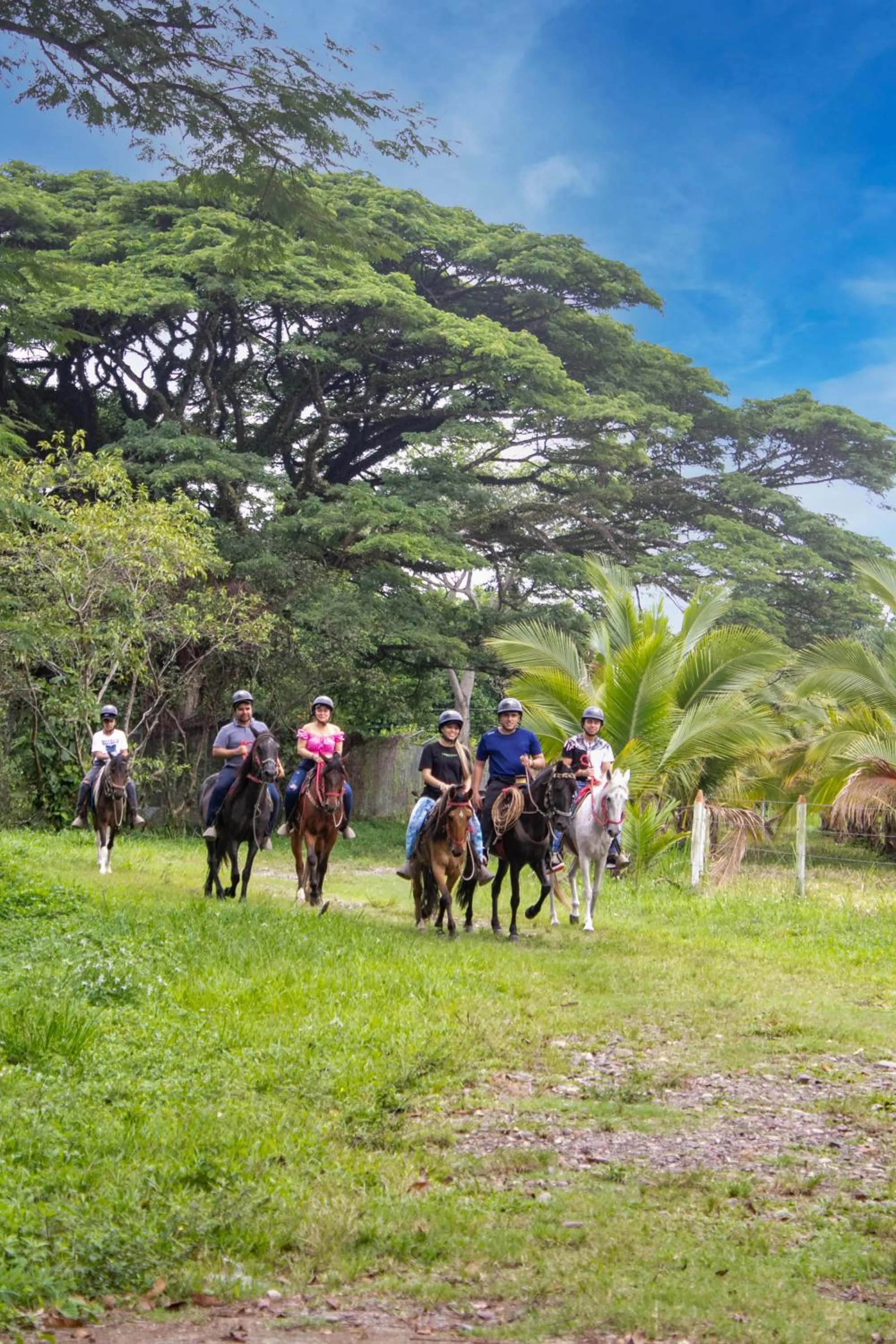 Horse-riding in Hotel y Parque Turístico Navar City