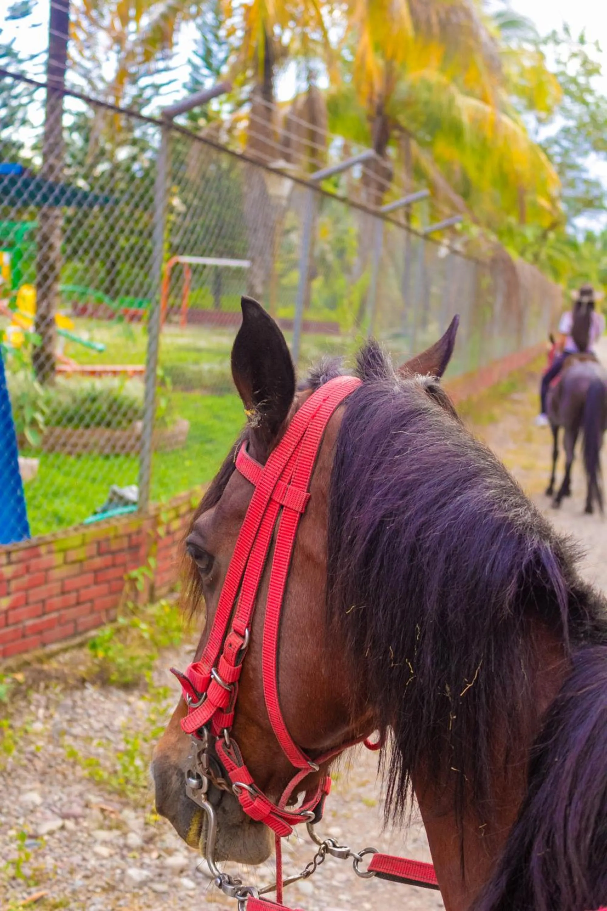 Horse-riding in Hotel y Parque Turístico Navar City