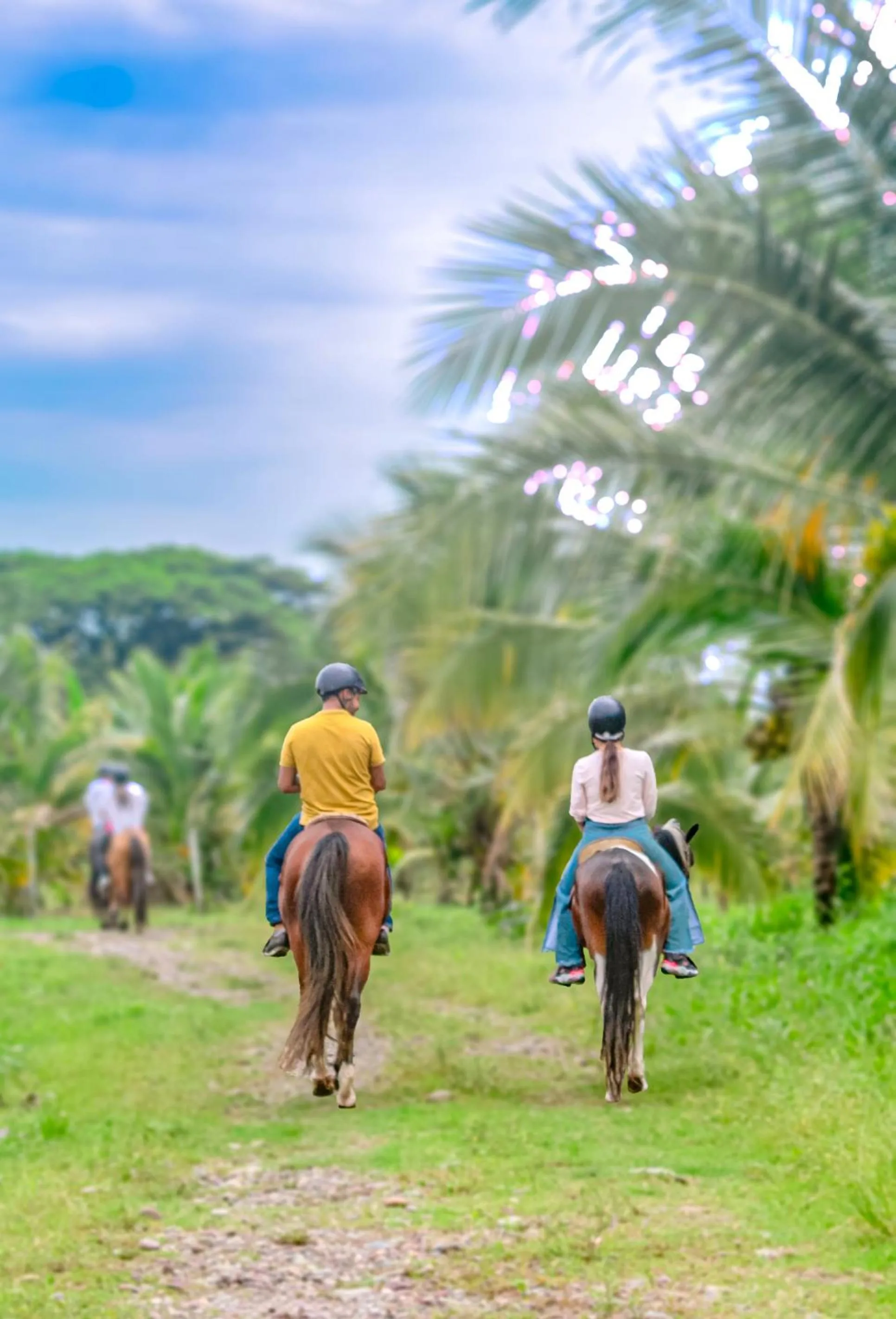 Horse-riding in Hotel y Parque Turístico Navar City