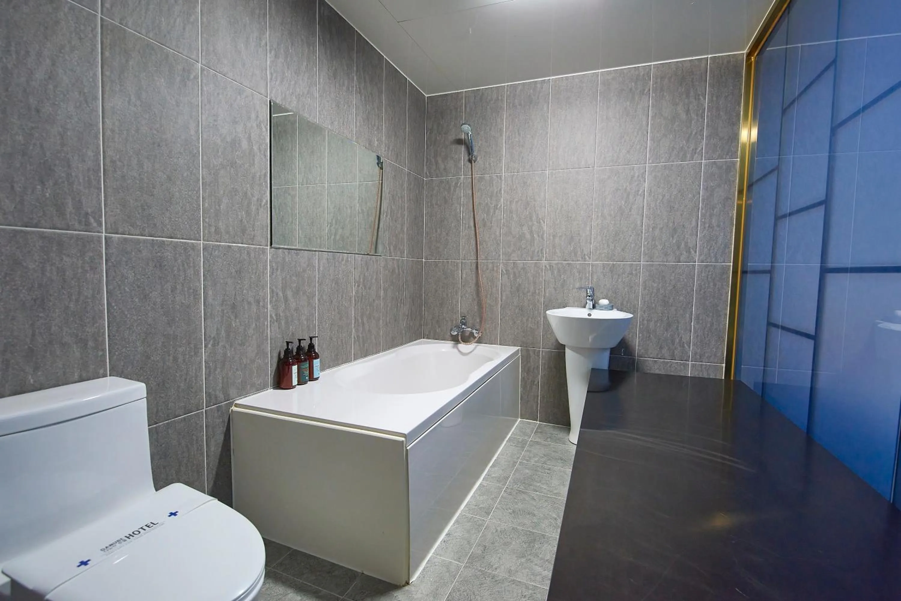 Hotel Danube Seomyeon