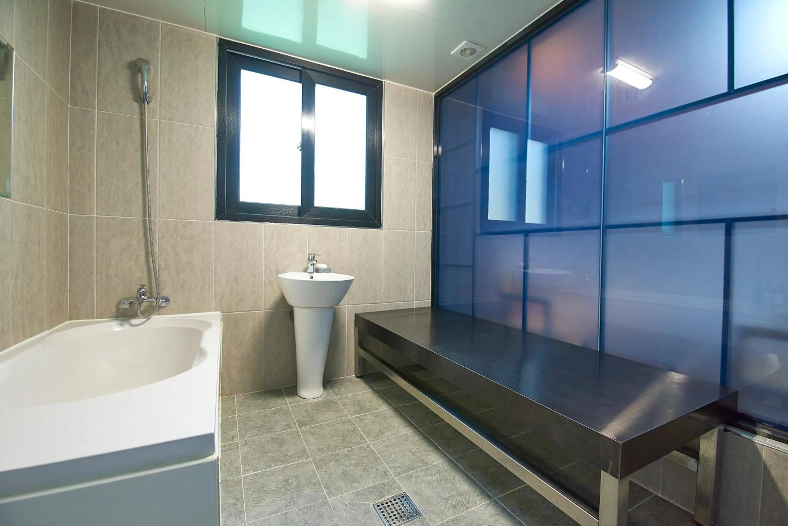 Hotel Danube Seomyeon