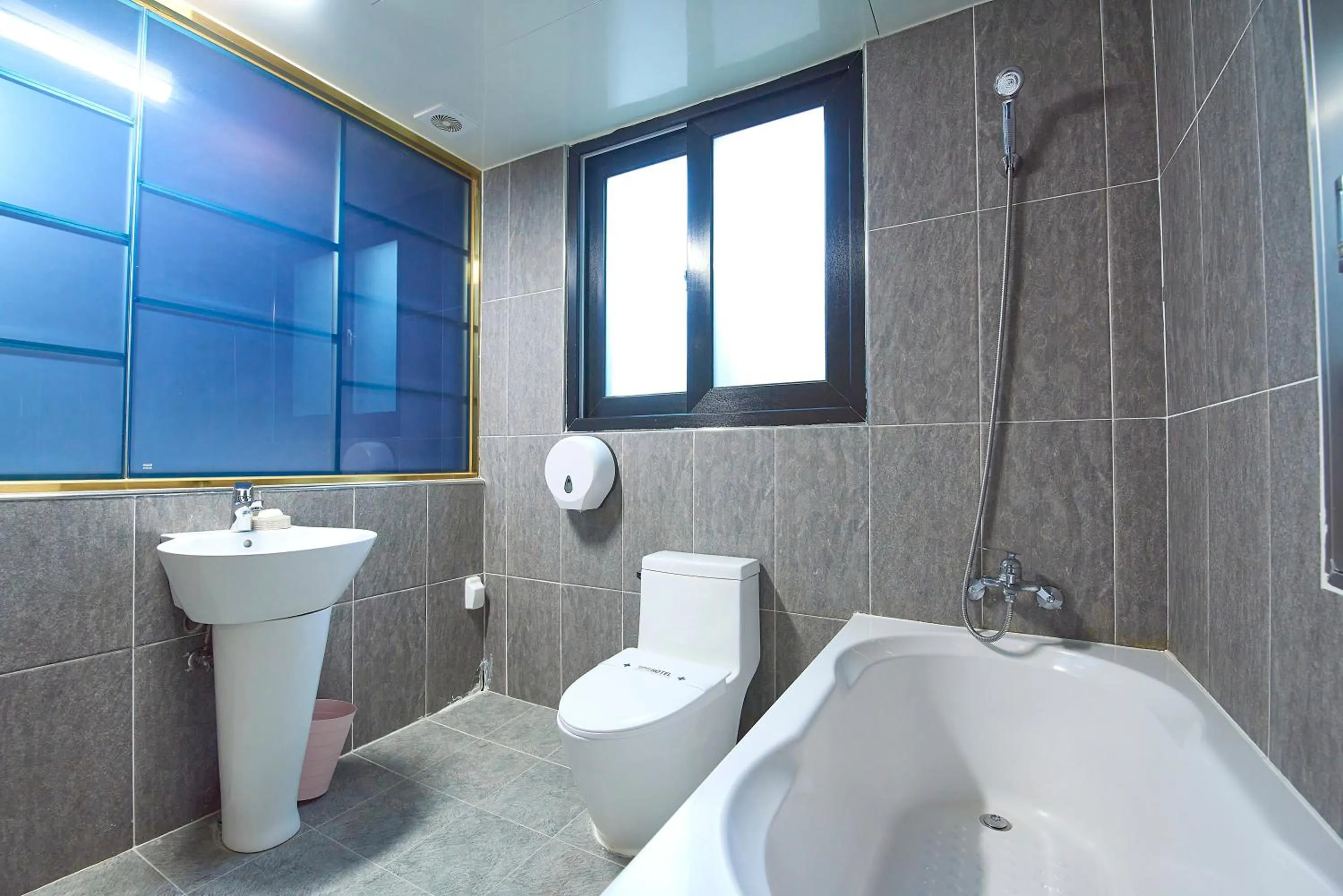 Hotel Danube Seomyeon