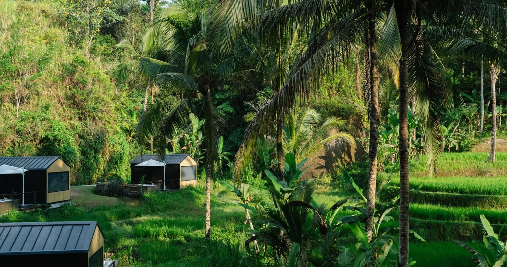 Natural landscape in Bobocabin Ubud, Bali
