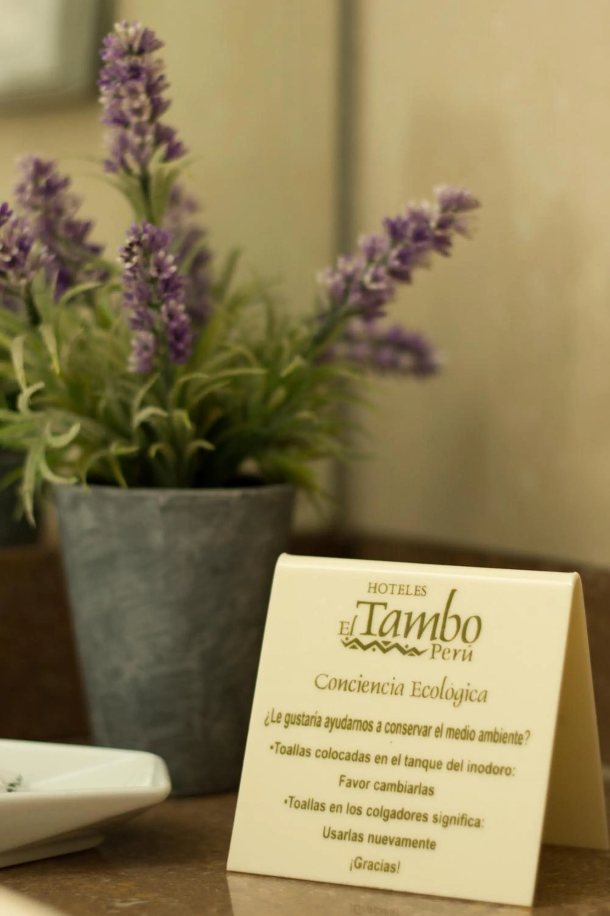 Text overlay in El Tambo 1