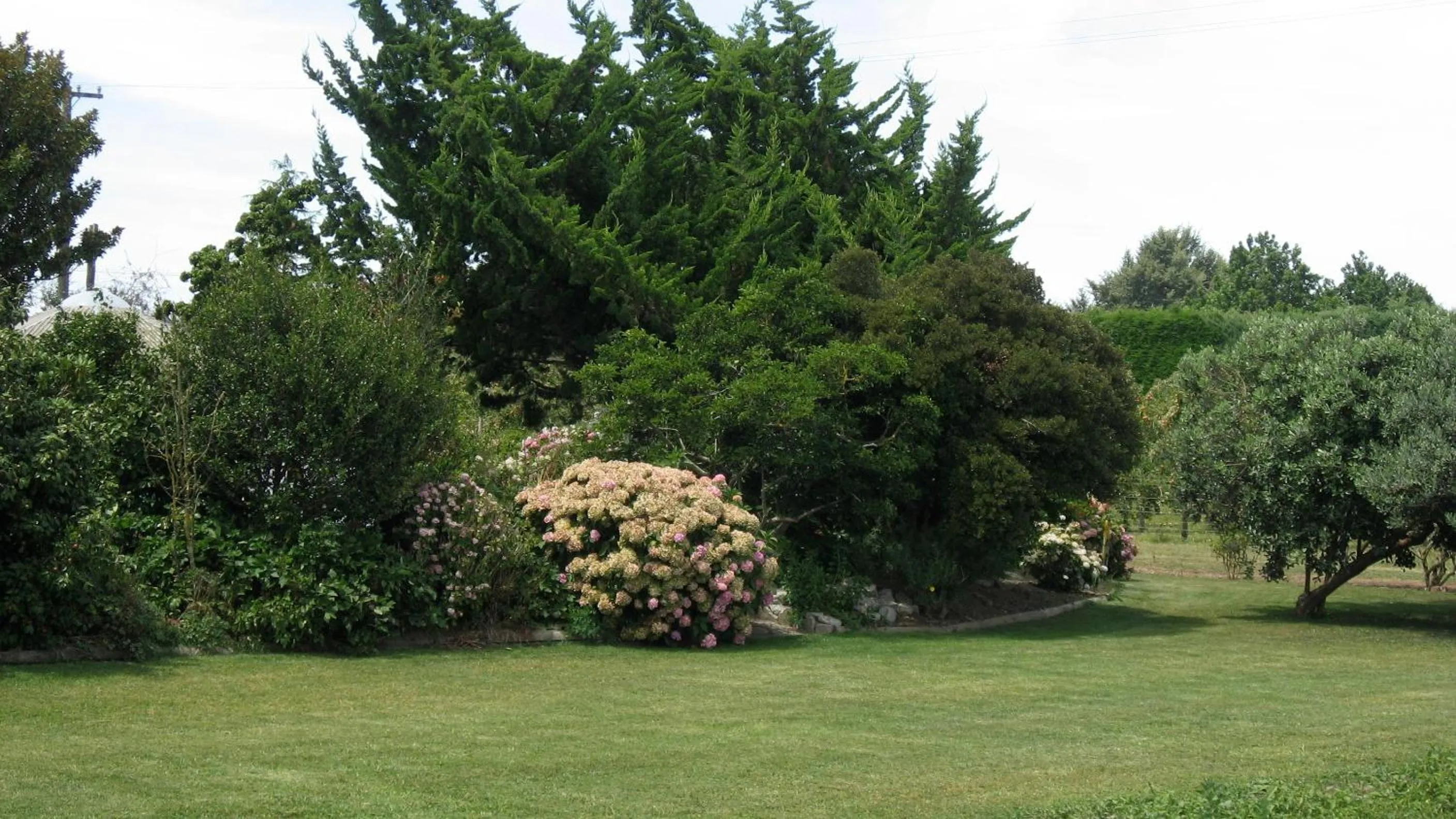Garden in Bluebell Lodge and Cottage