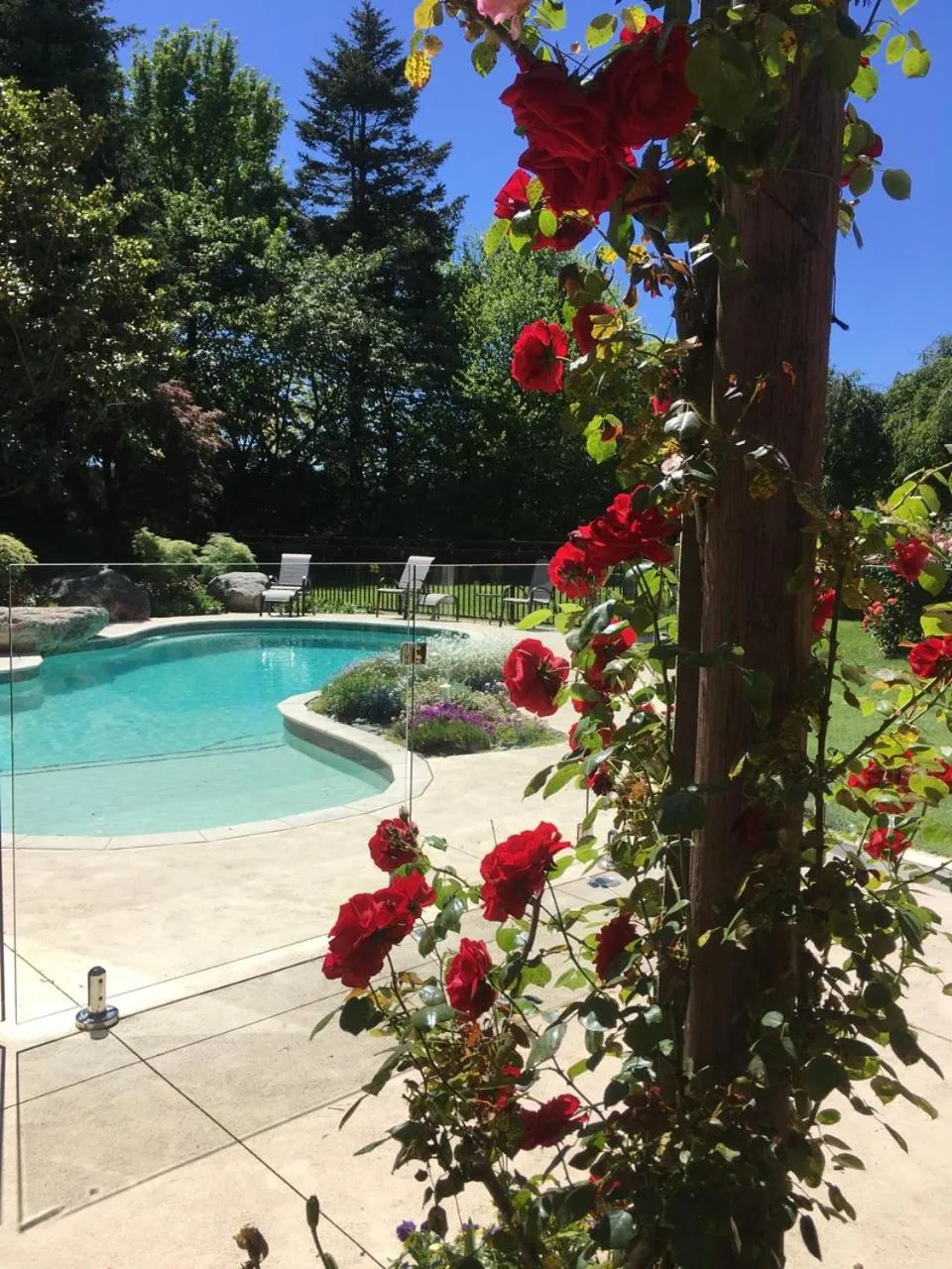 Swimming pool in Bluebell Lodge and Cottage