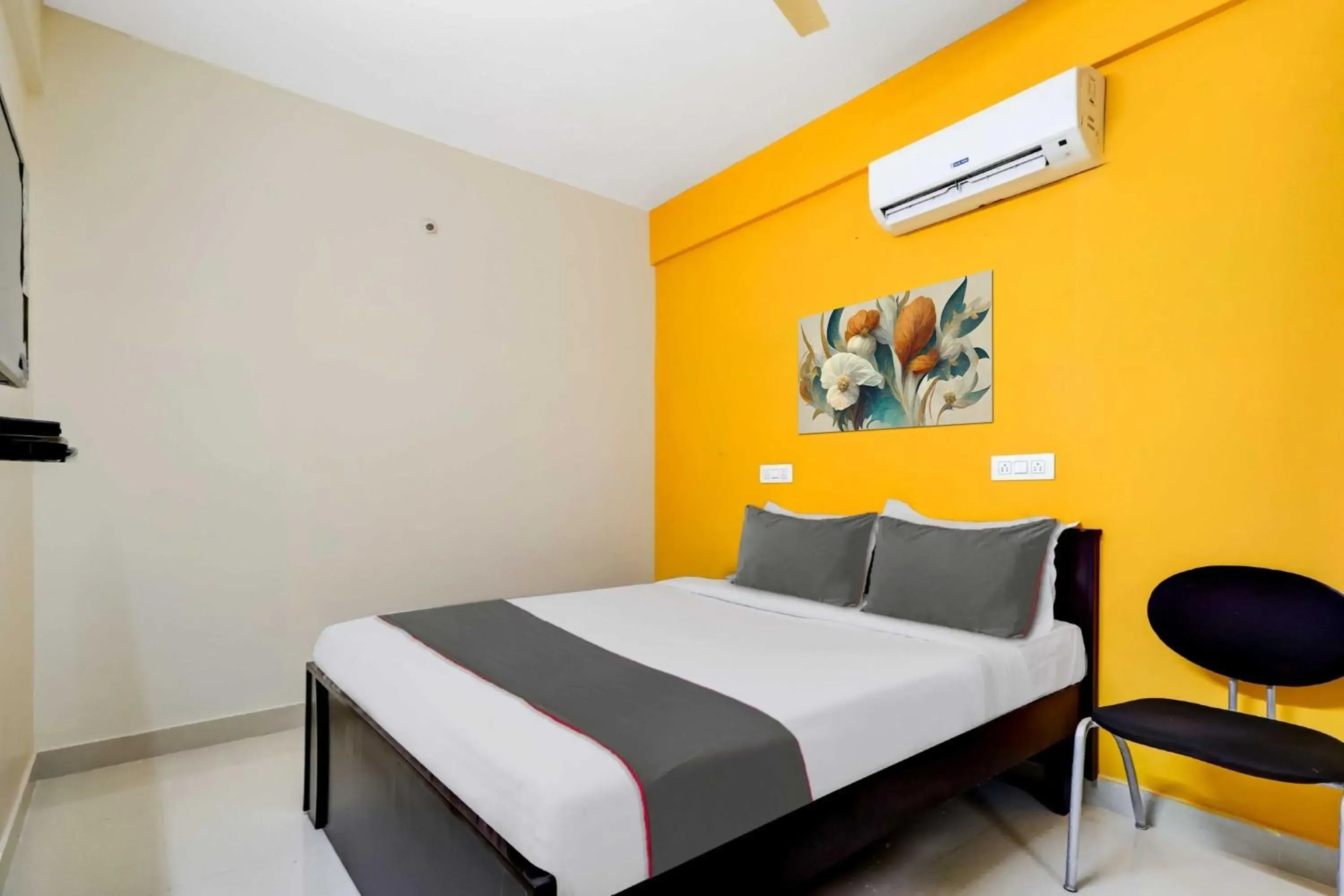 Super Collection O Olive Super Collection O Olive