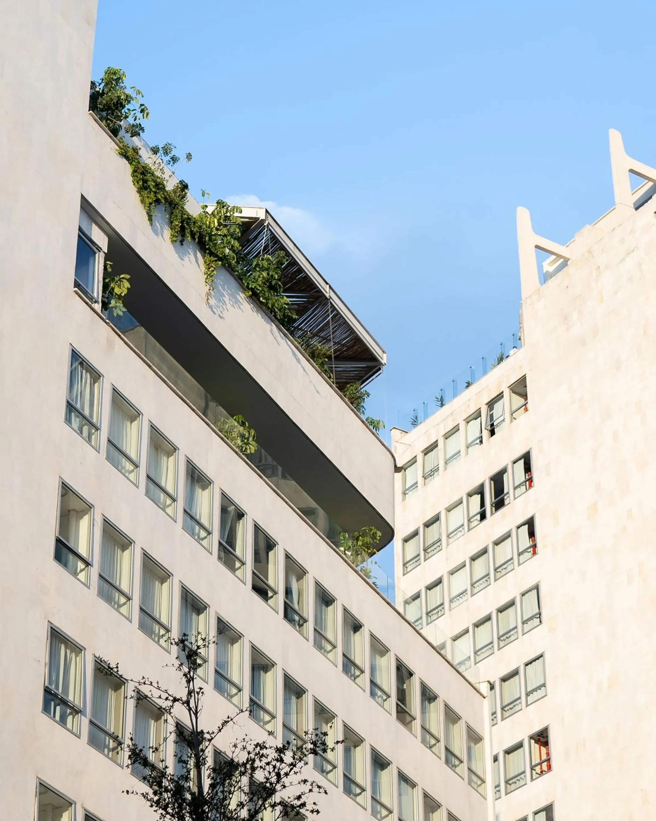 Property building in Mondrian Mexico City Condesa