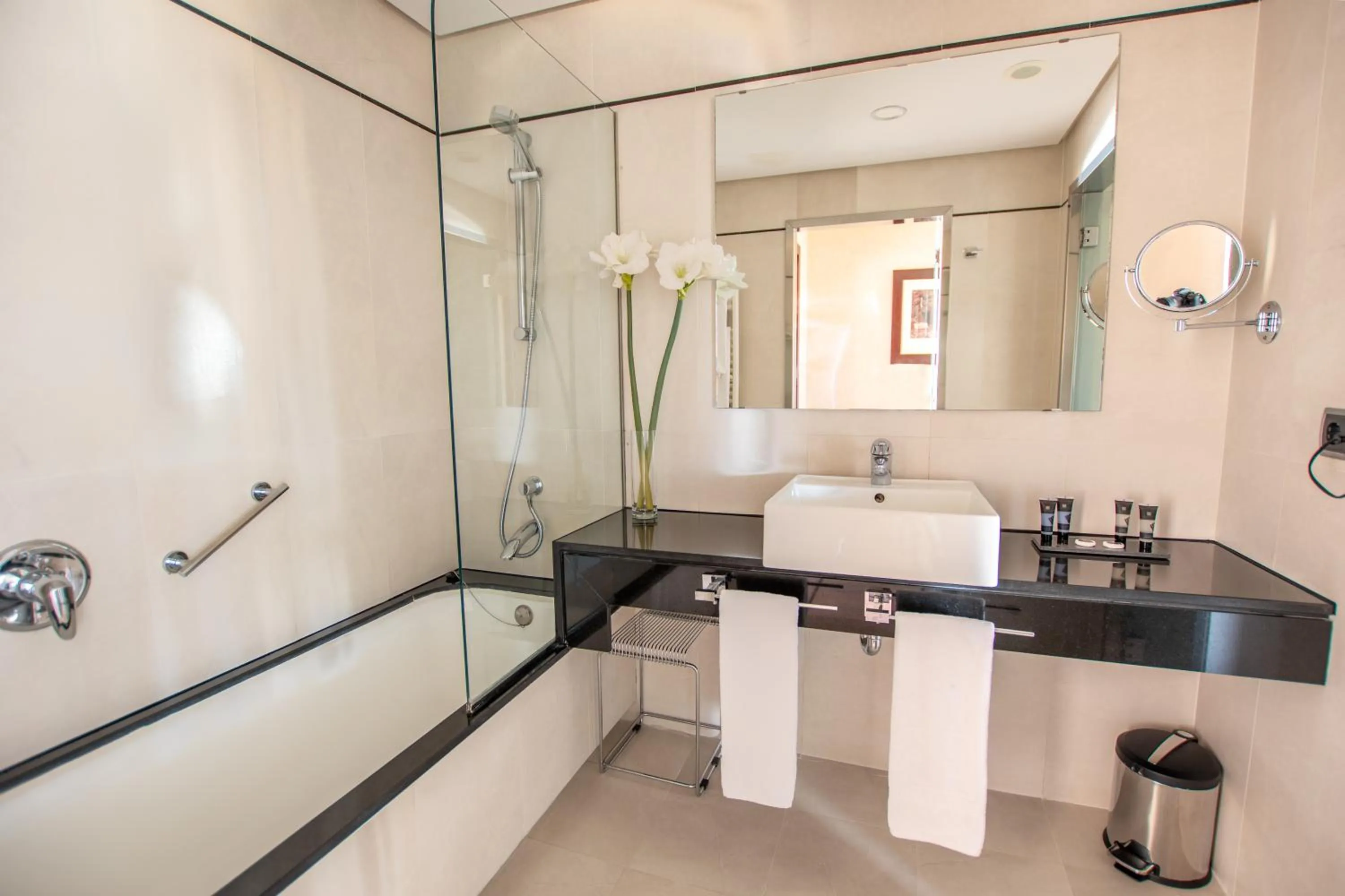 Bathroom in Hotel Andalucía Center