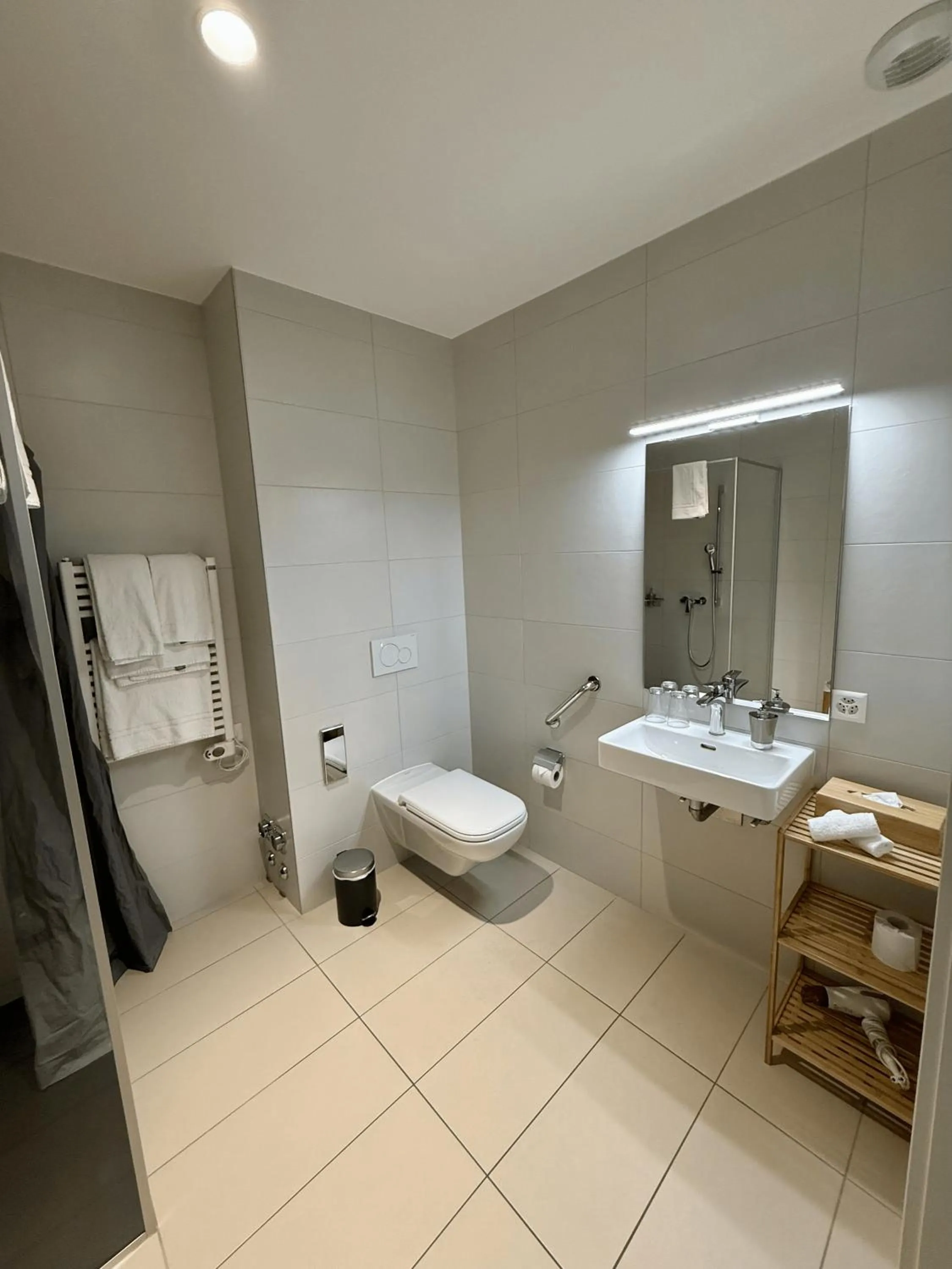 Shower in Alp Art Hotel Monthey