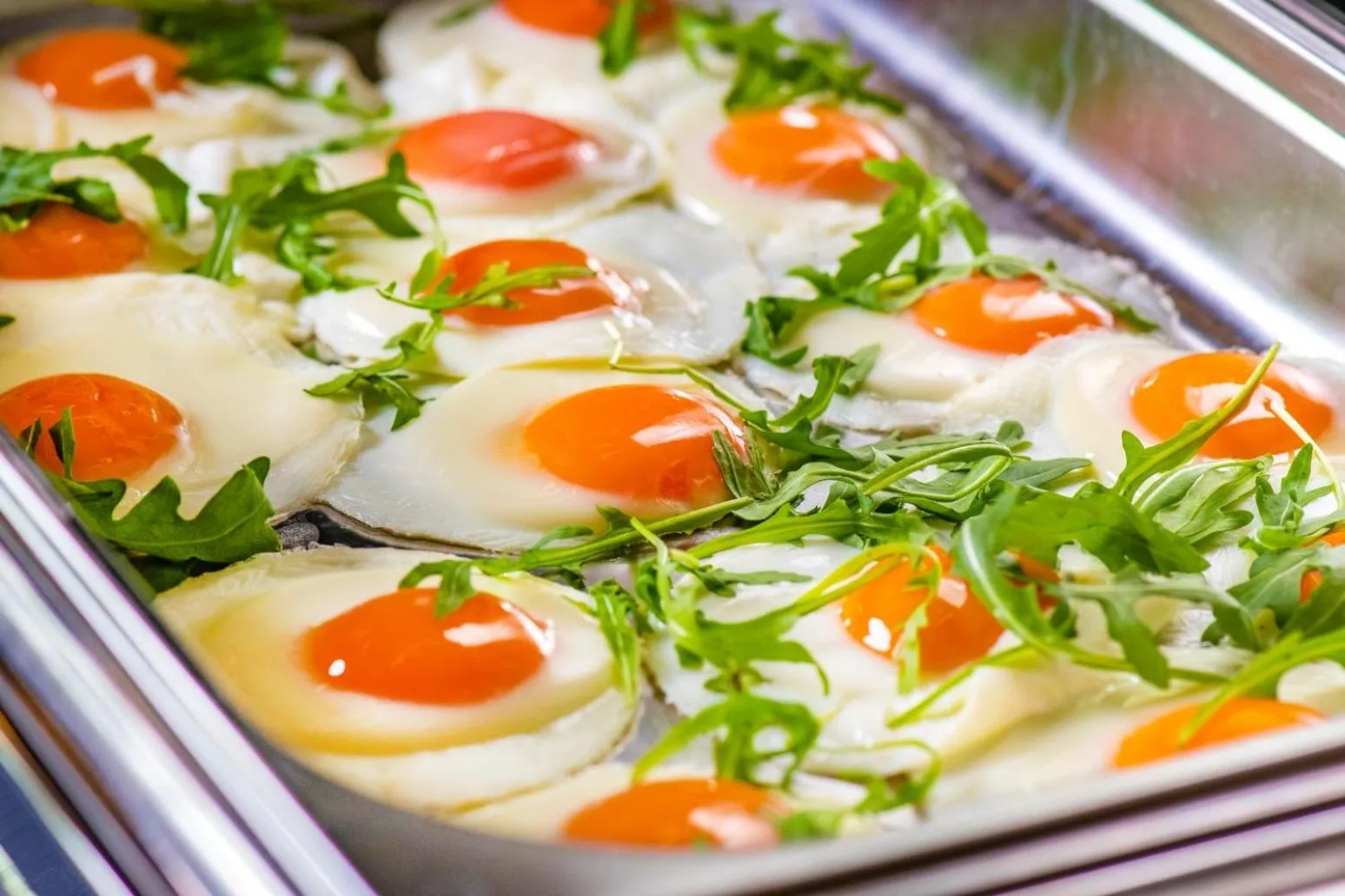 Food in Flow Hotel & Conference