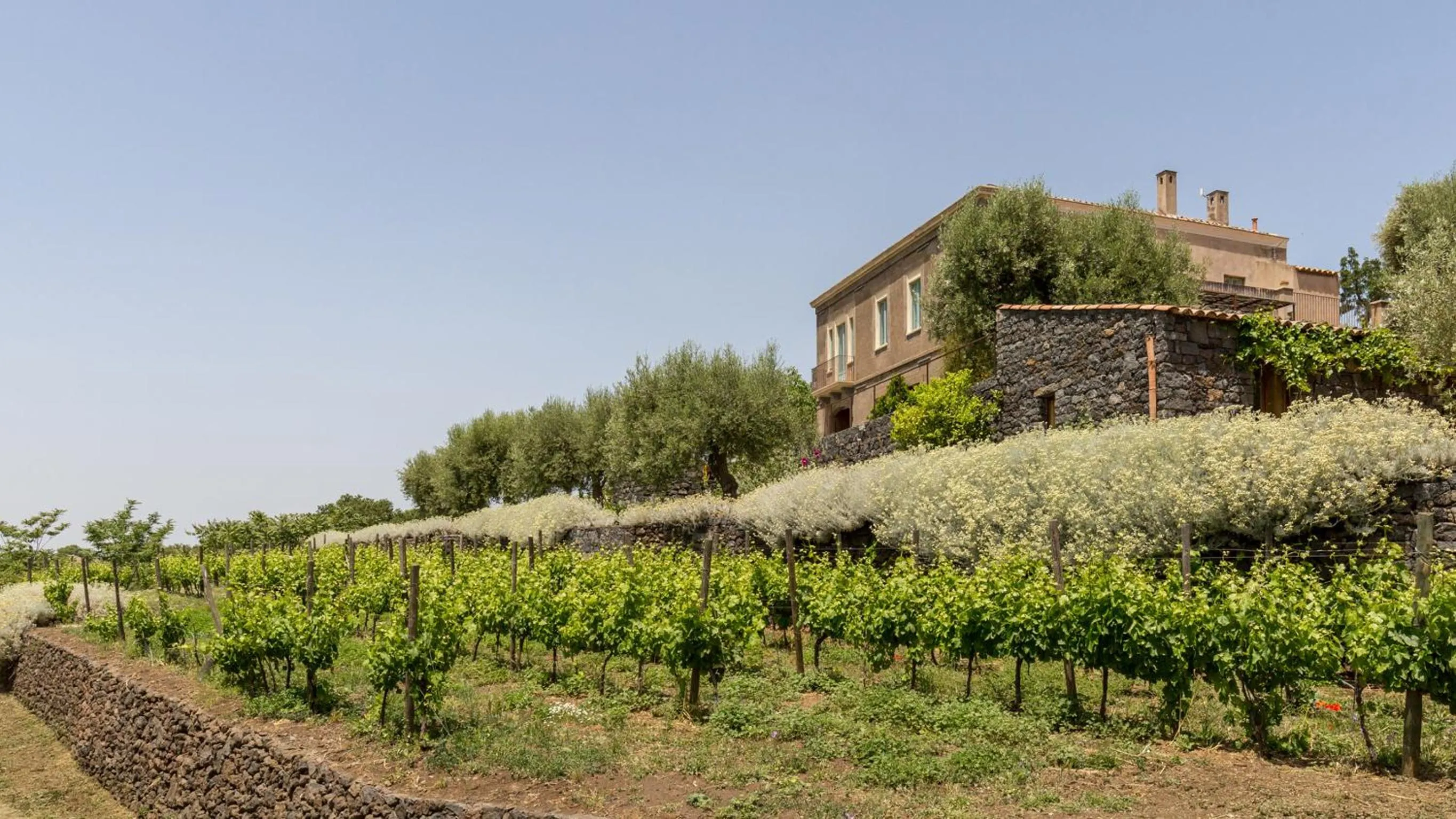 Property building in Sciaraviva