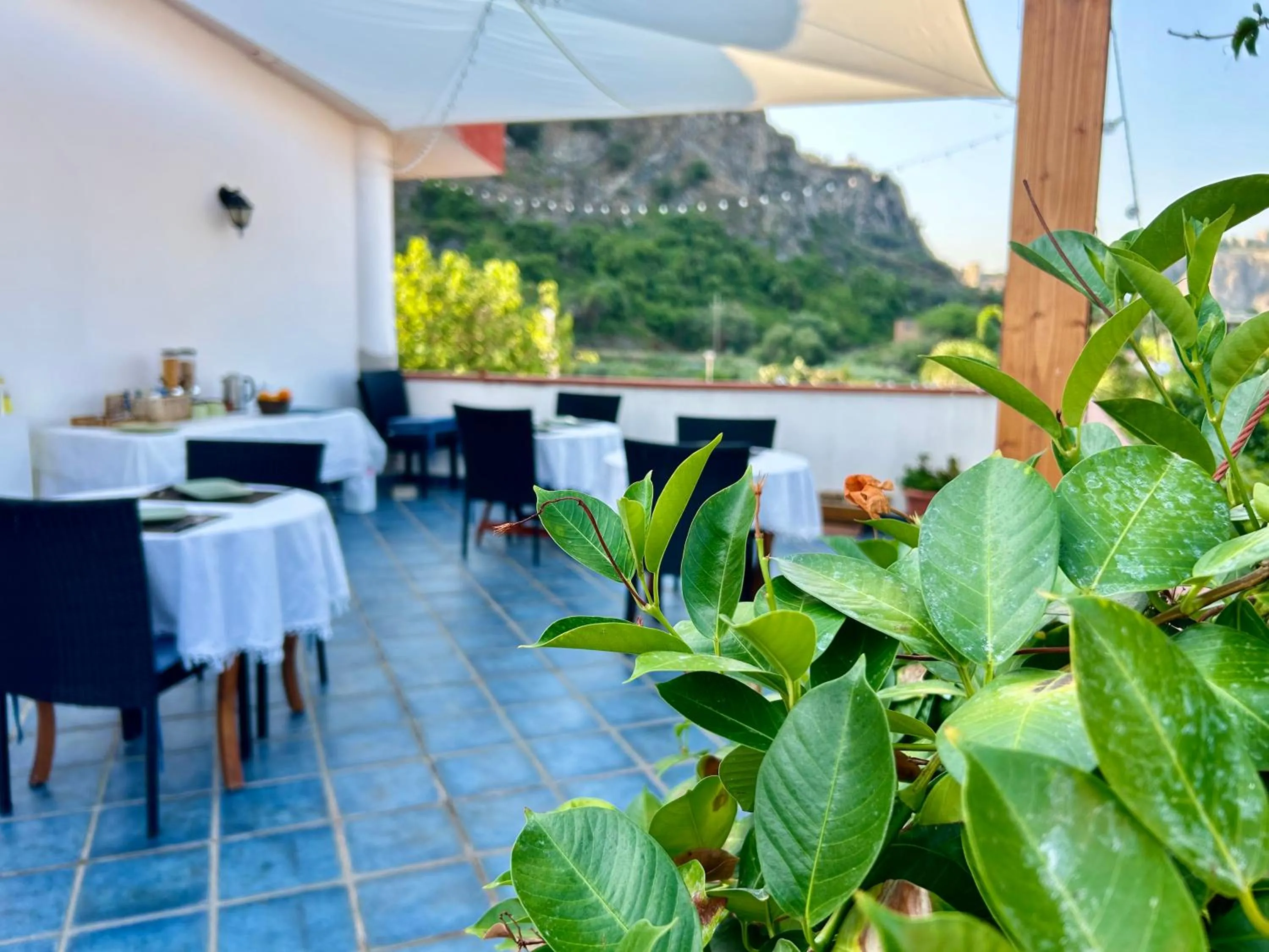 B&B Villa Rodriguez