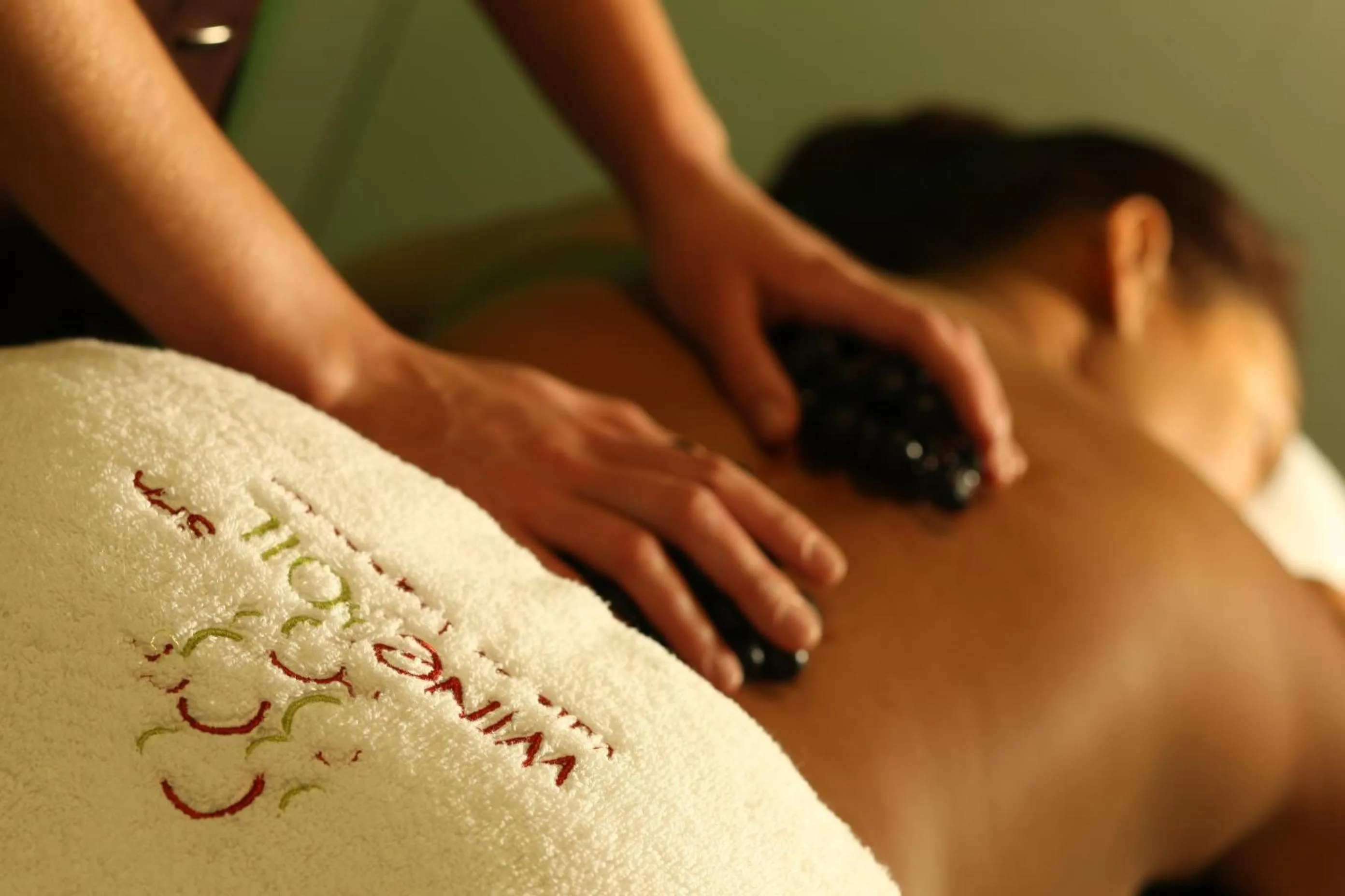 Spa and wellness centre/facilities in Hotel Silken Villa de Laguardia