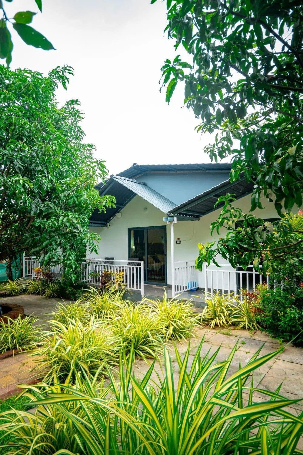 White Truffle Resort, Arambol