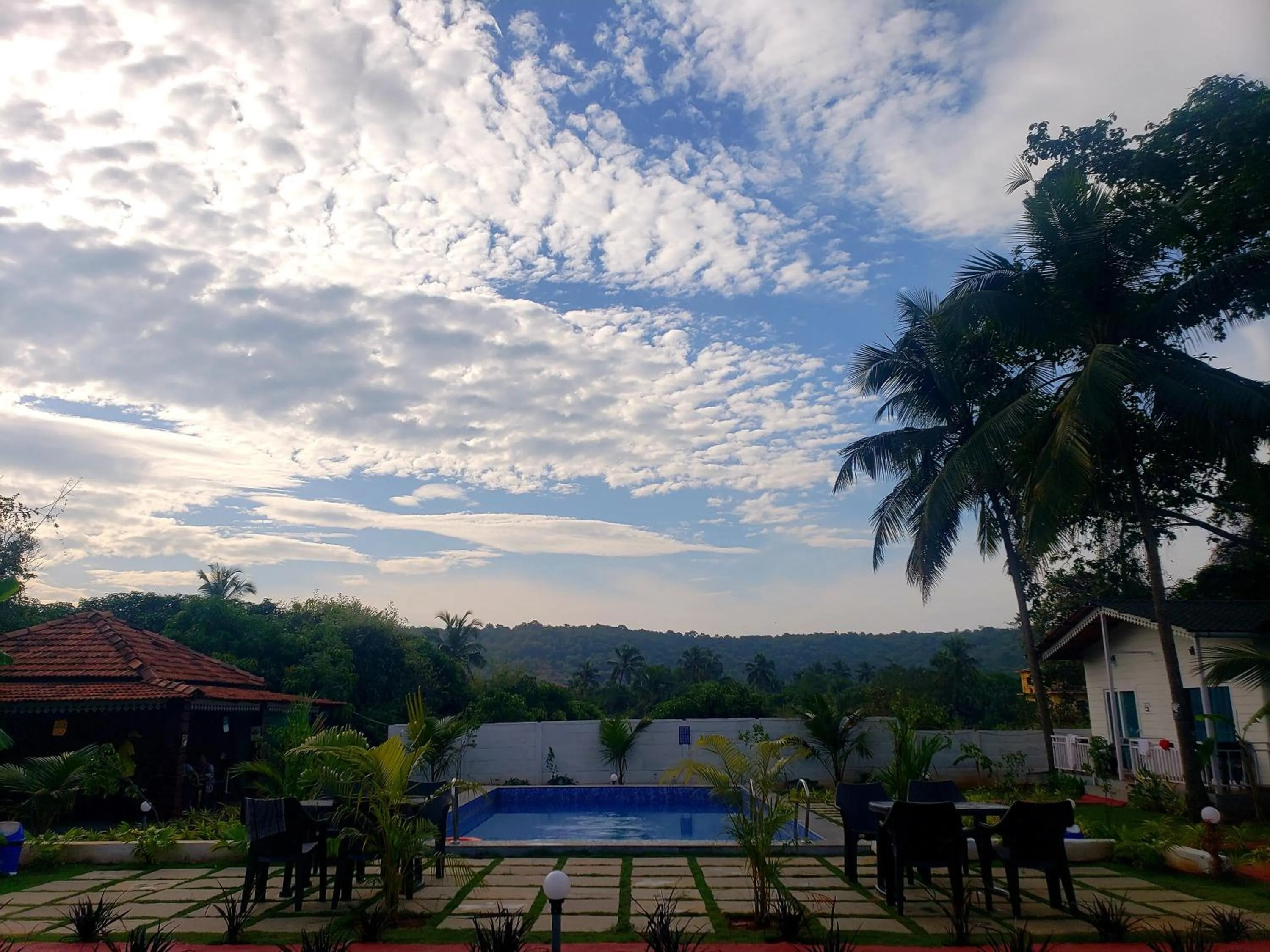 Swimming pool in White Truffle Resort, Arambol
