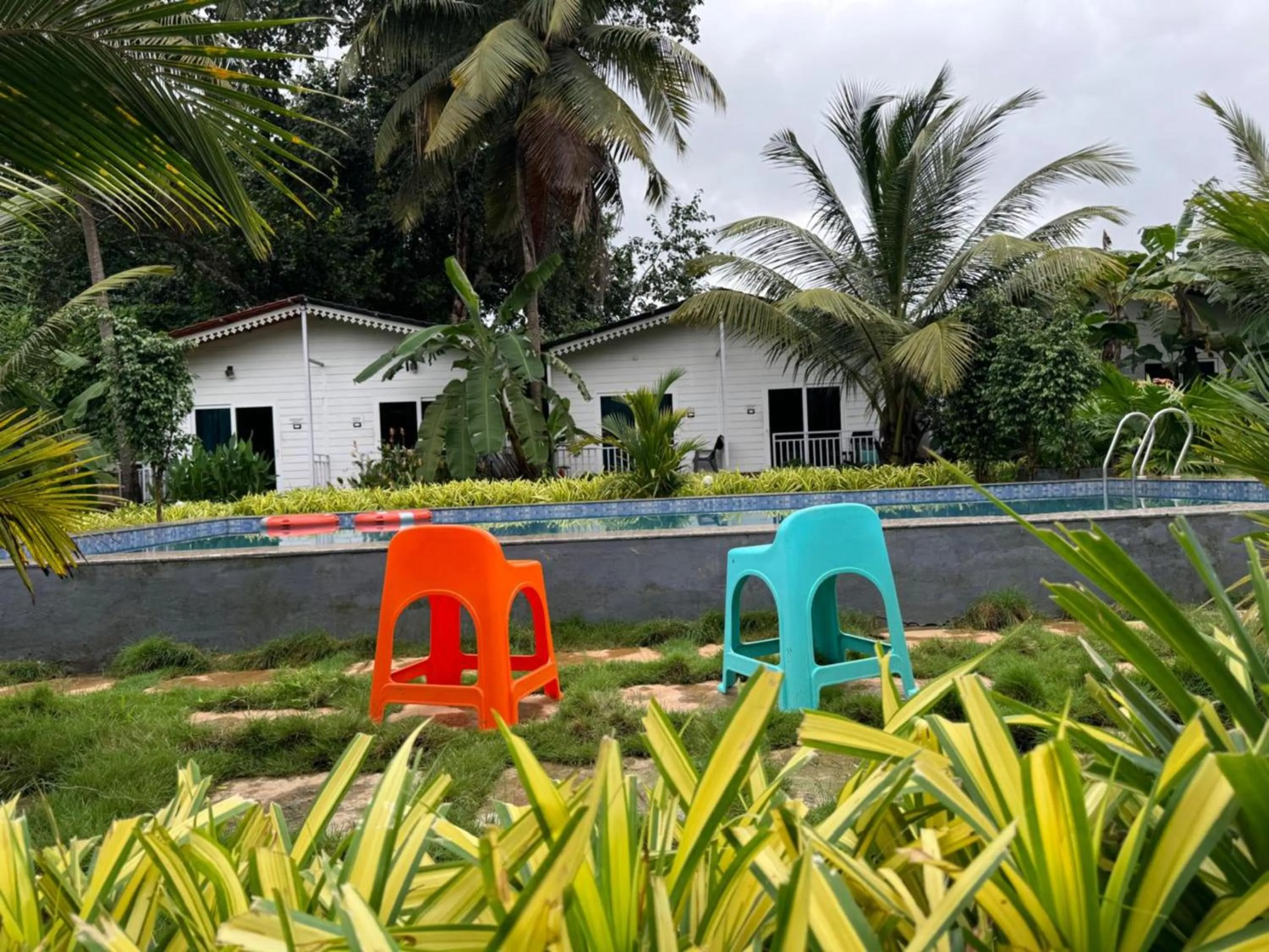 White Truffle Resort, Arambol