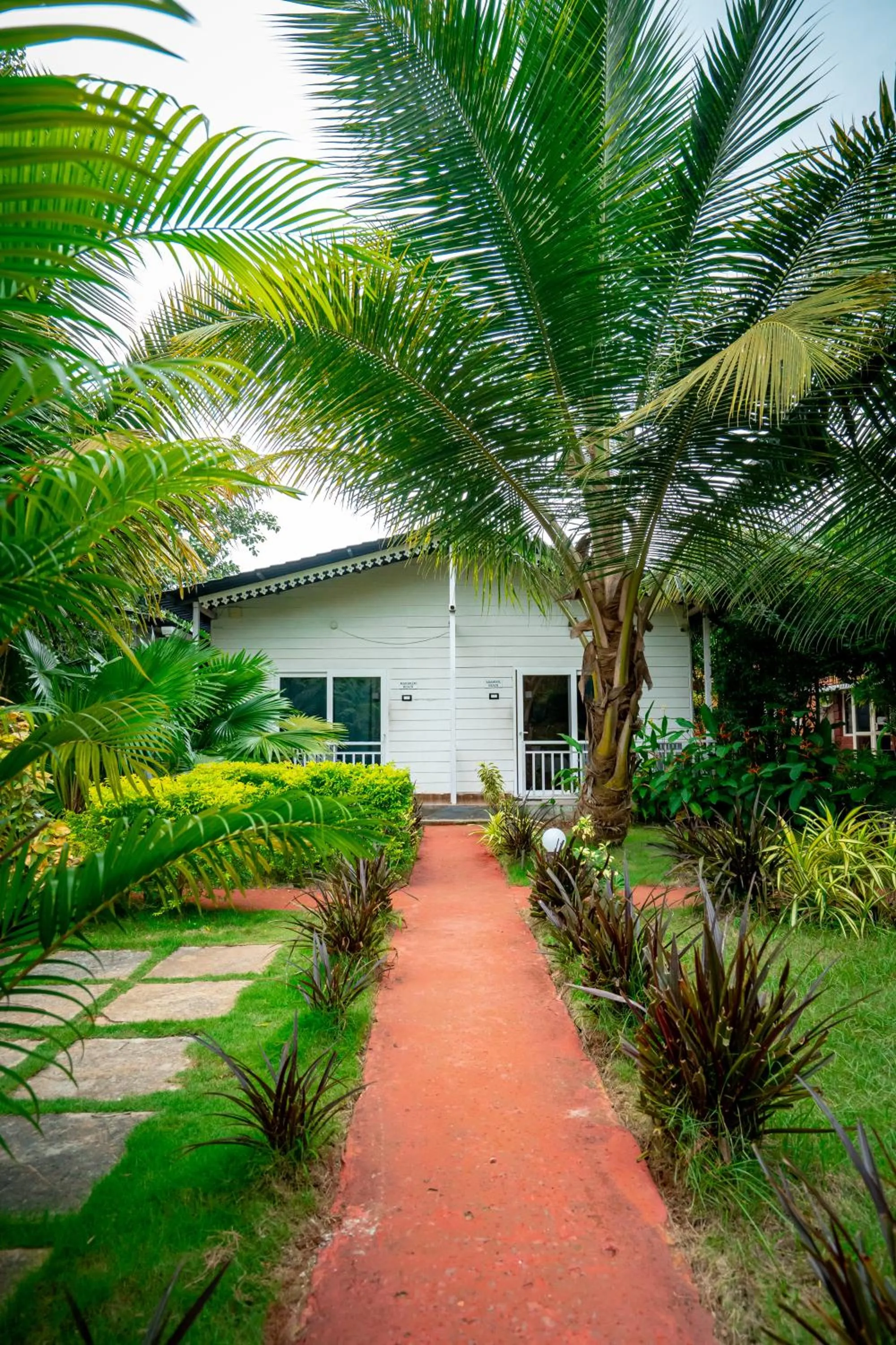 White Truffle Resort, Arambol