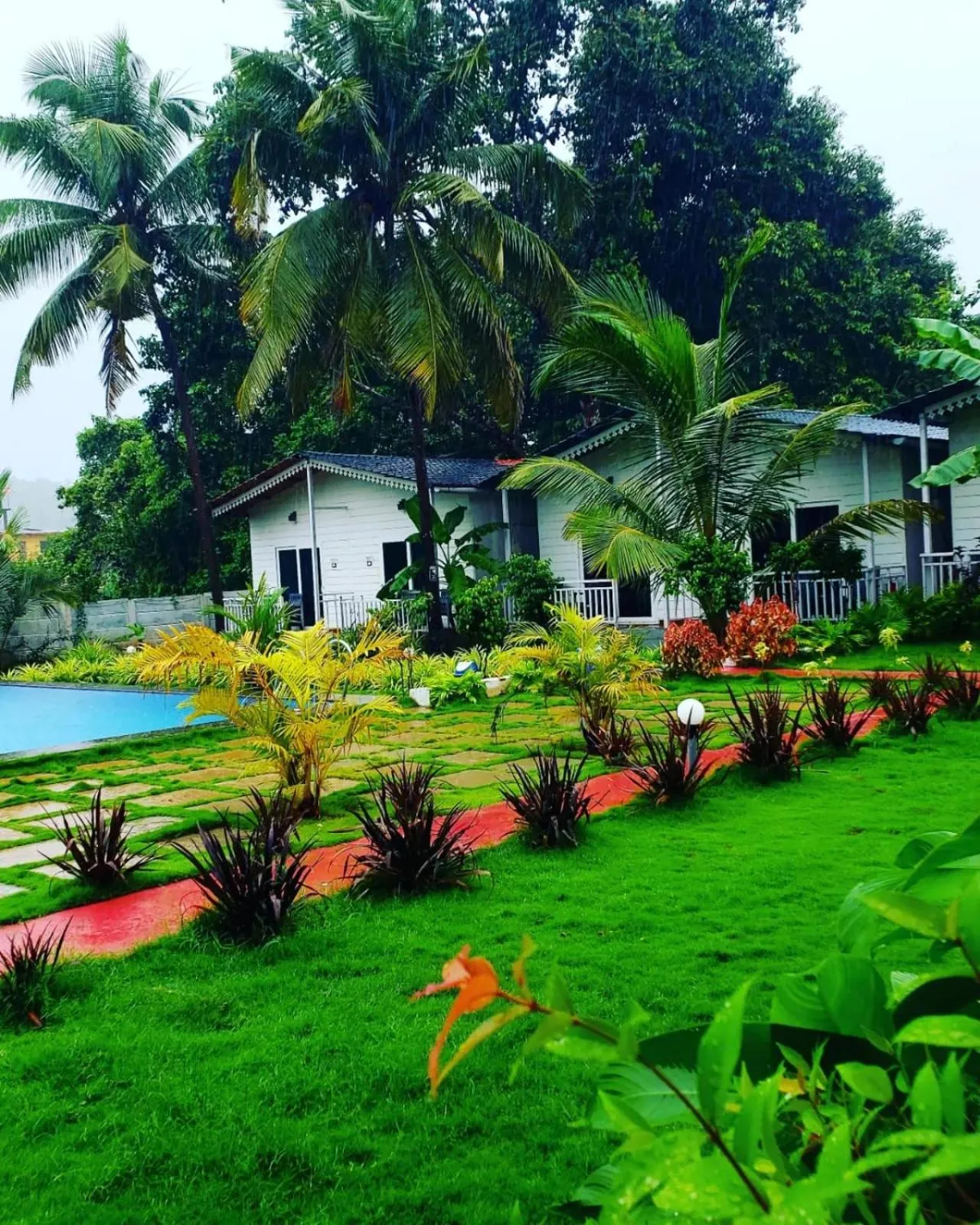 Garden in White Truffle Resort, Arambol