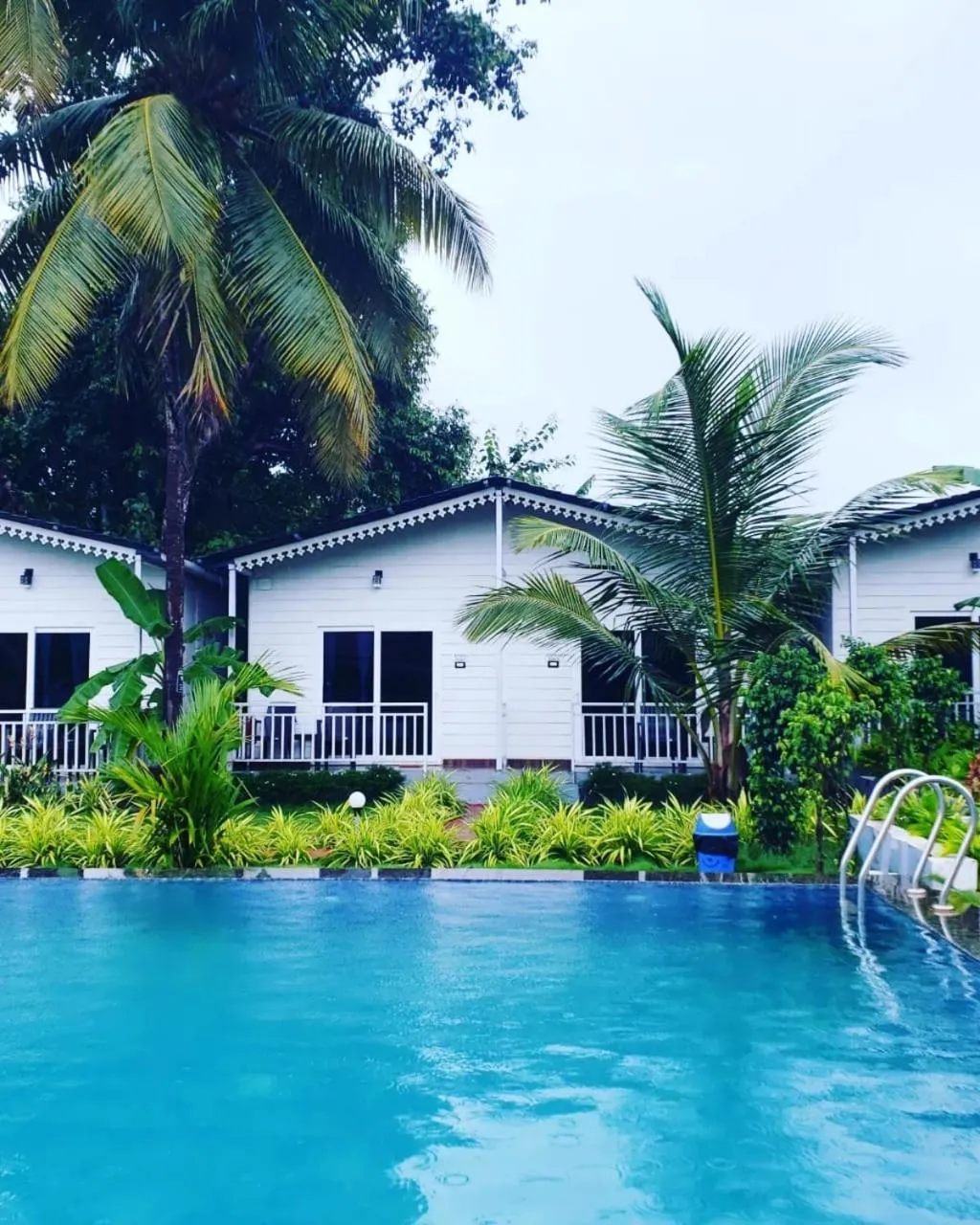 White Truffle Resort, Arambol