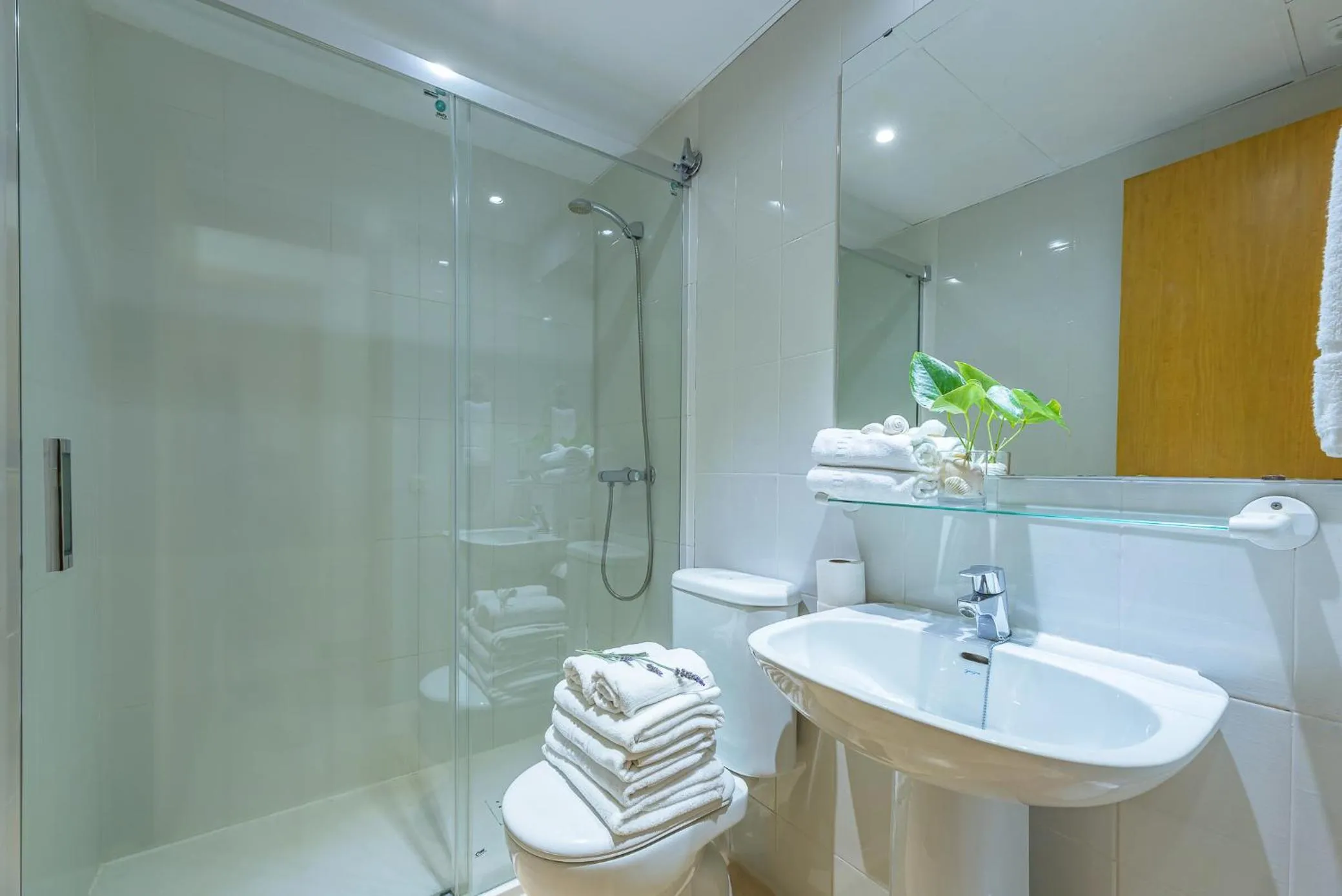 Shower in Aptos. Comte D´Empuries