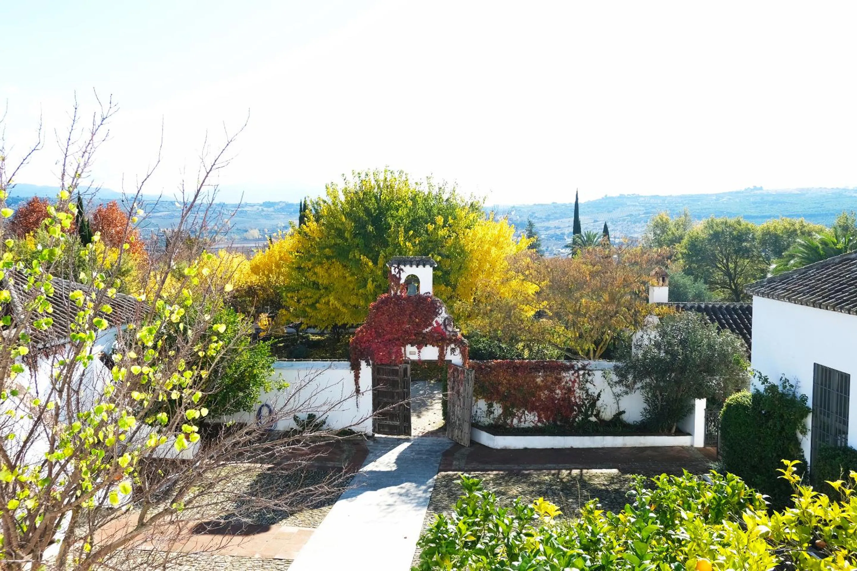 Garden view in Hotel Boutique Molino del Arco