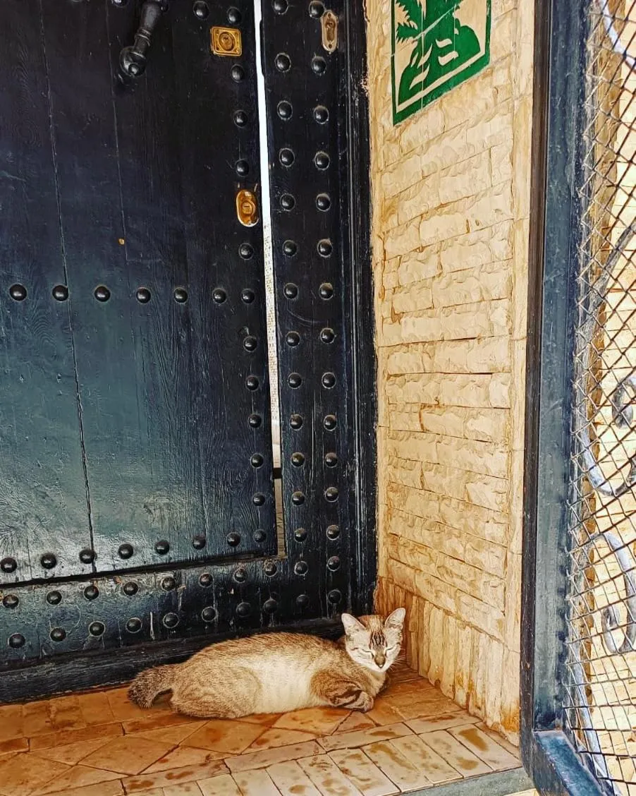 Pets in Riad Hugo