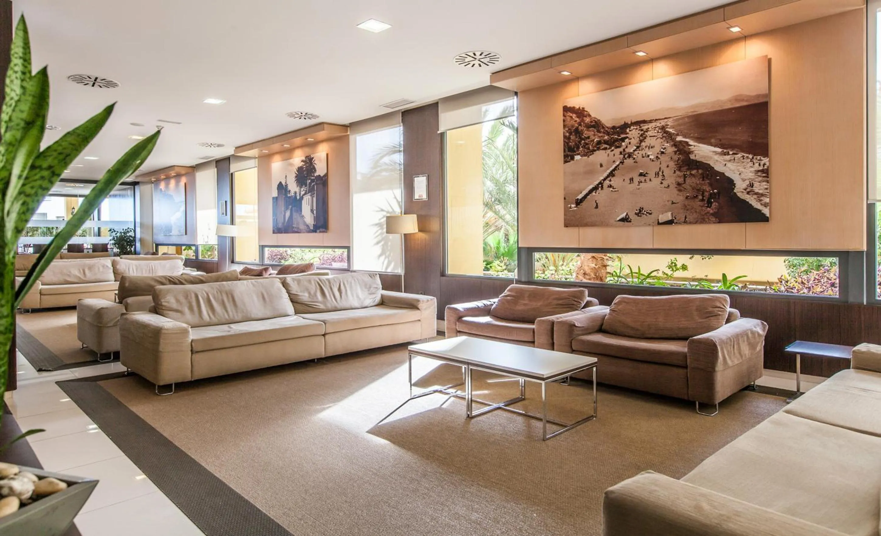 Area and facilities in BLUESEA Gran Cervantes