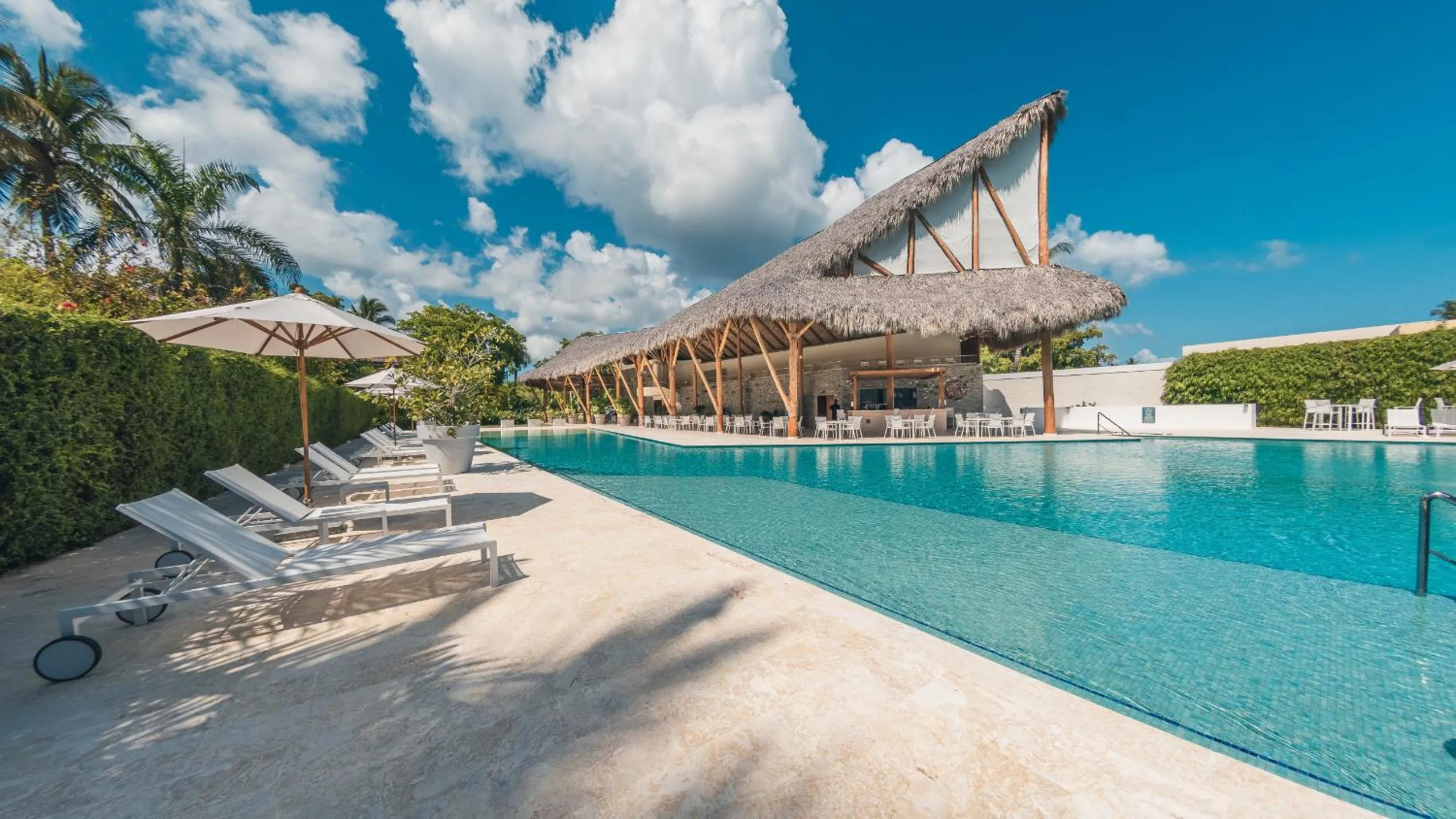 Beautiful 2 BR apartment at Portillo