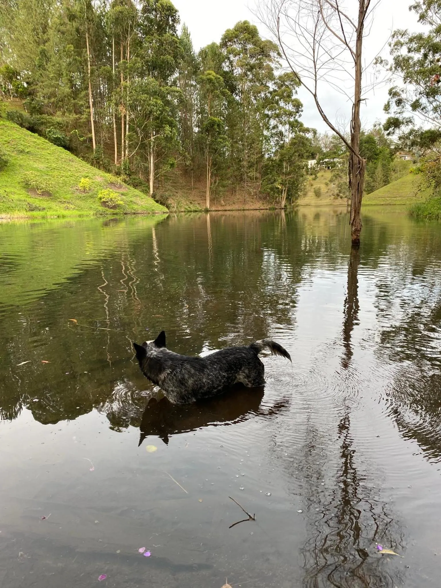 Natural landscape in Arvum Hotel Boutique