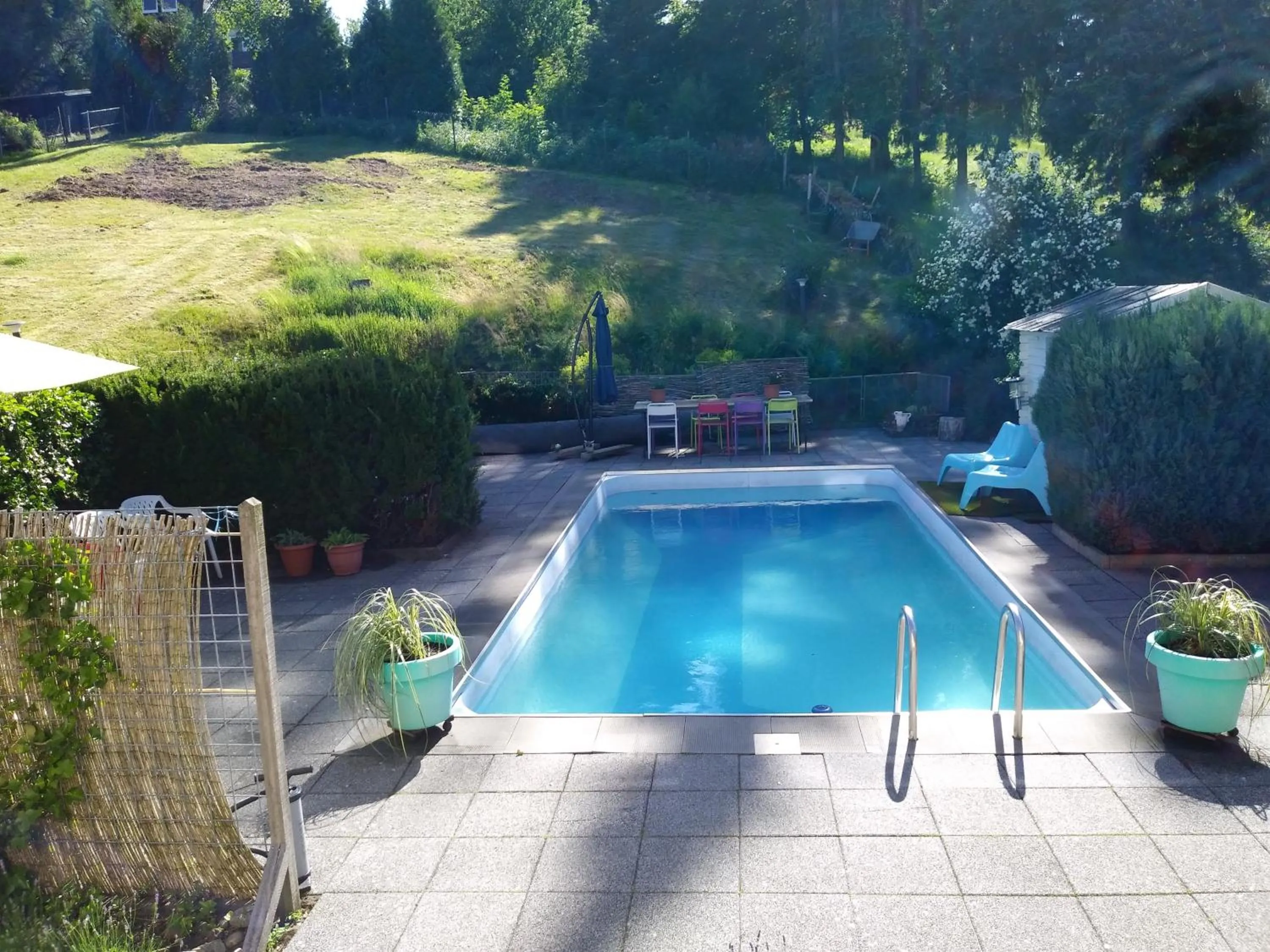 Pool view in Orchidee Altenau