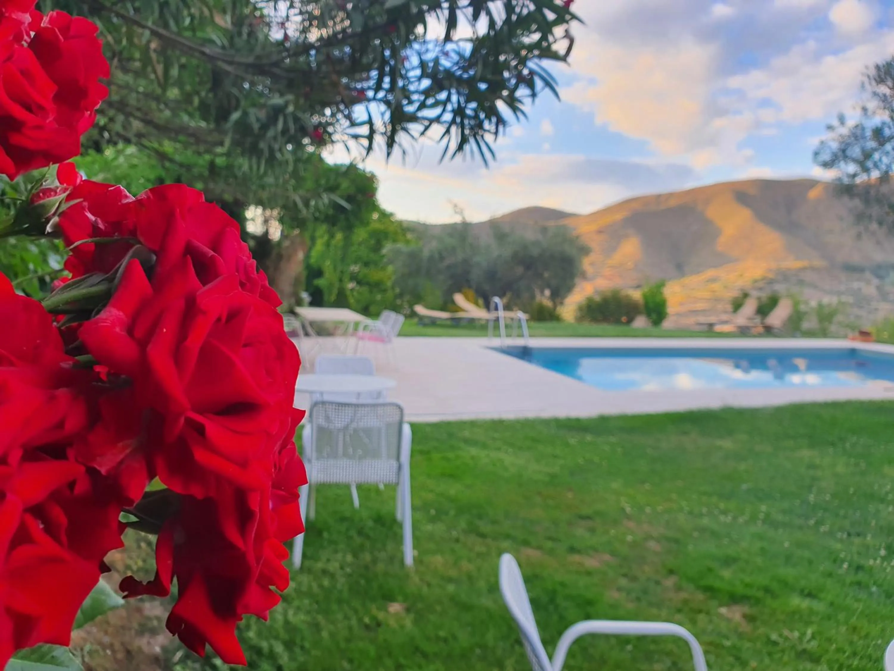 Swimming pool in La Almunia del Valle