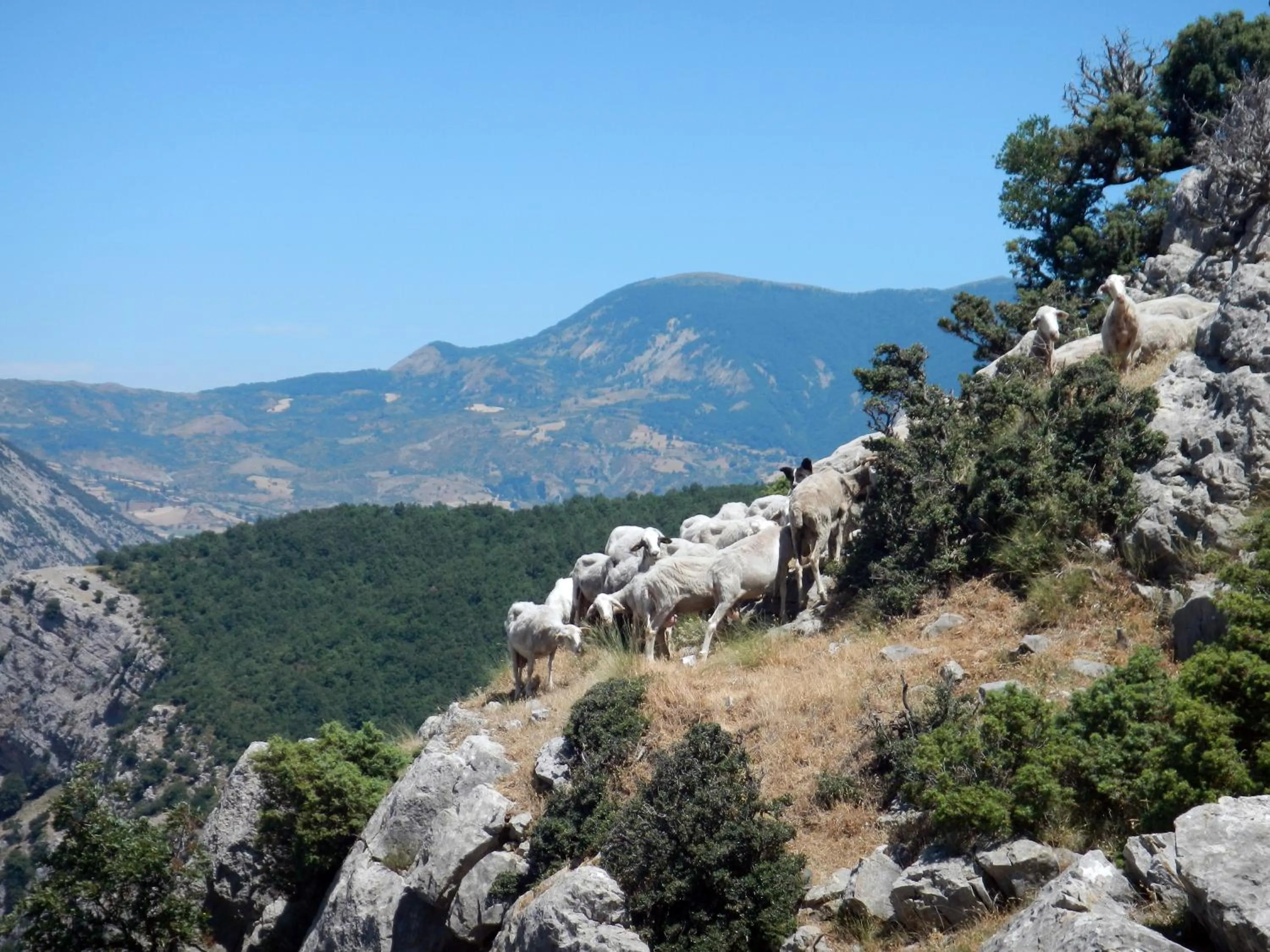 Natural landscape in Il Belvedere